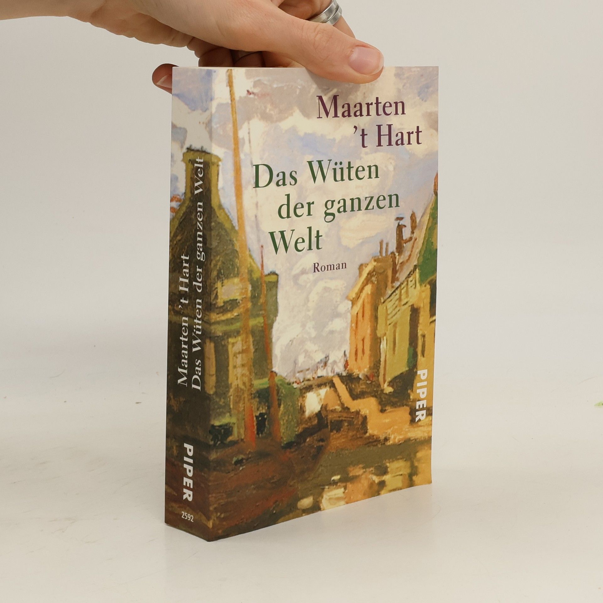 Maarten t. Hart Das Wüten der ganzen Welt