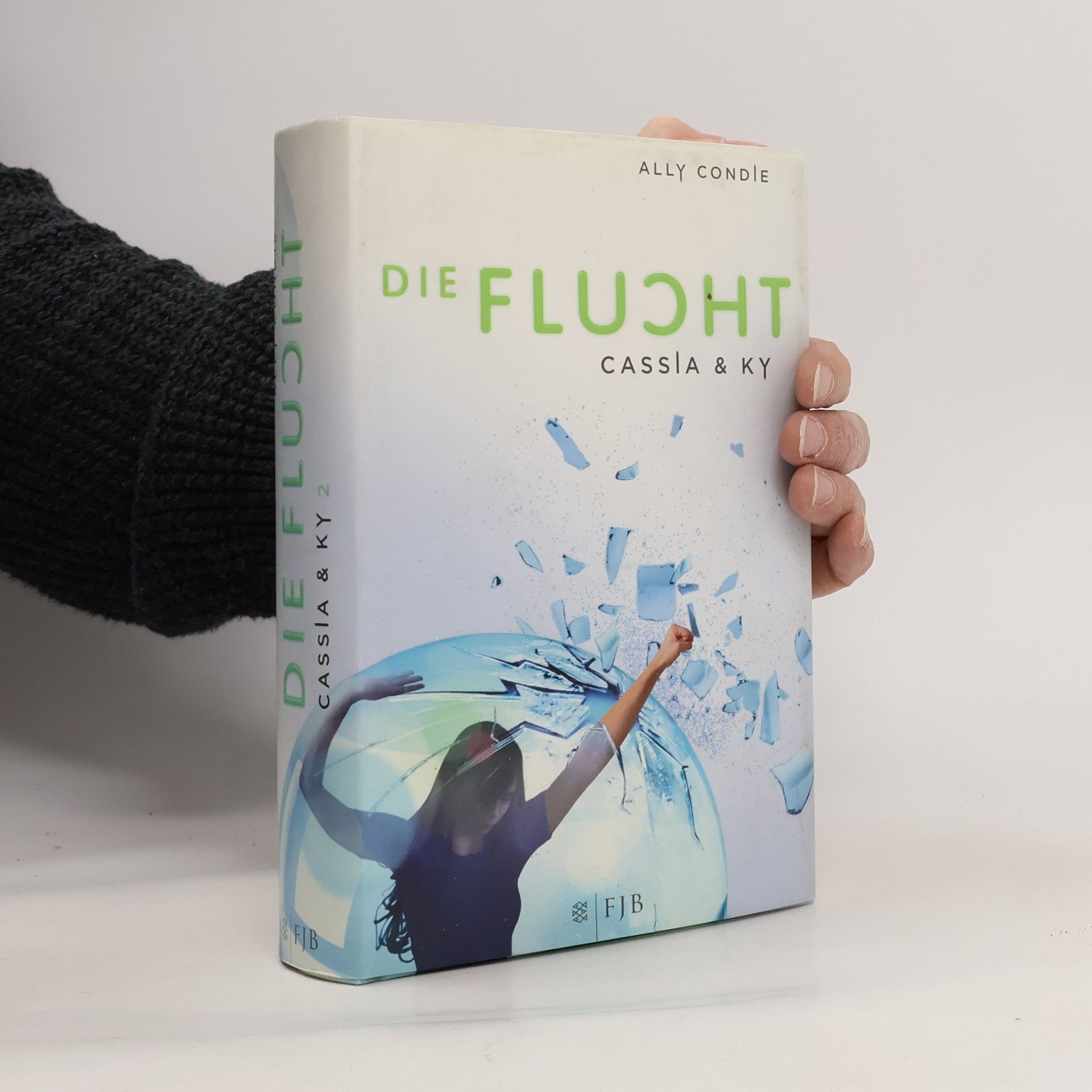 Ally Condie Die Flucht