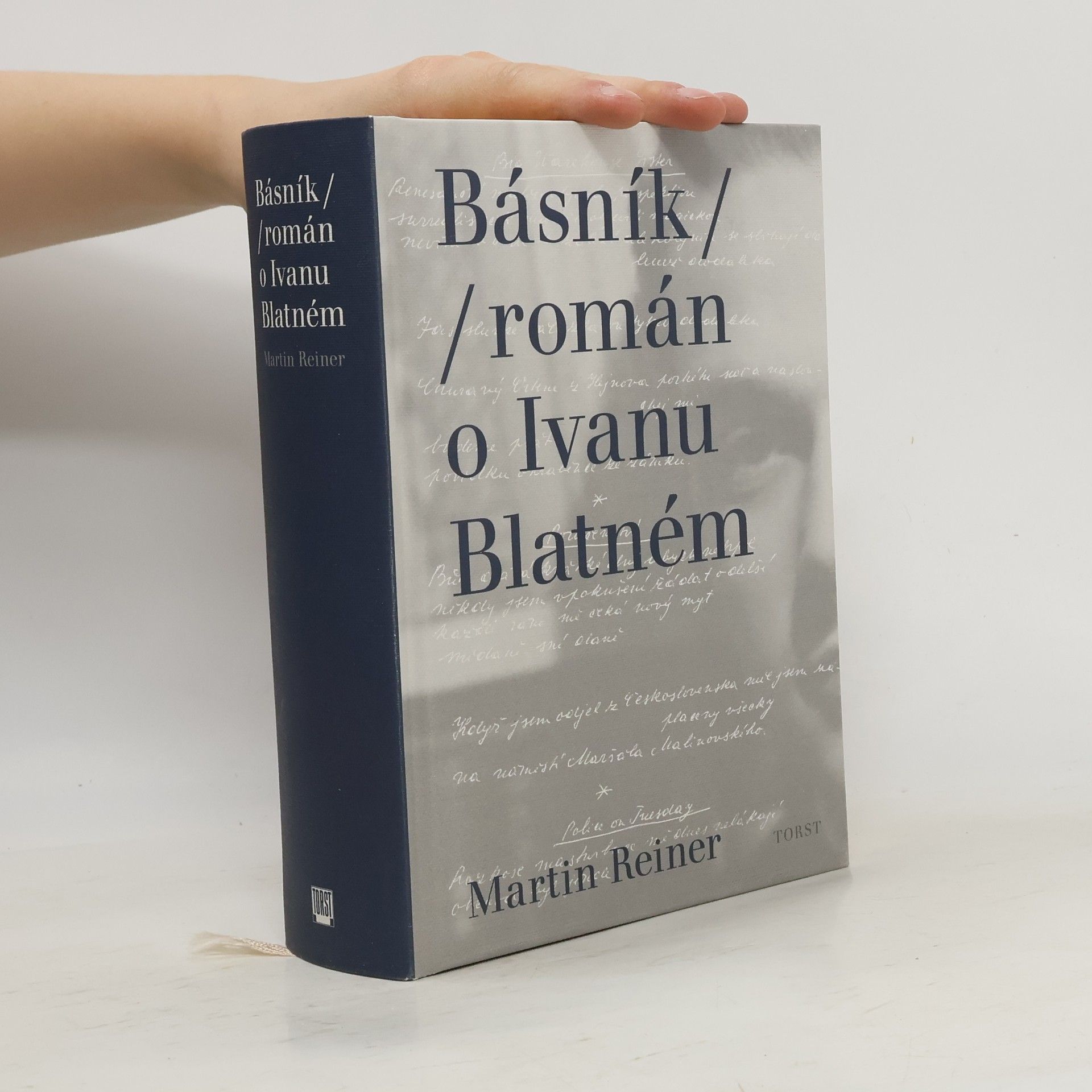 Martin Reiner Básník. Román o Ivanu Blatném