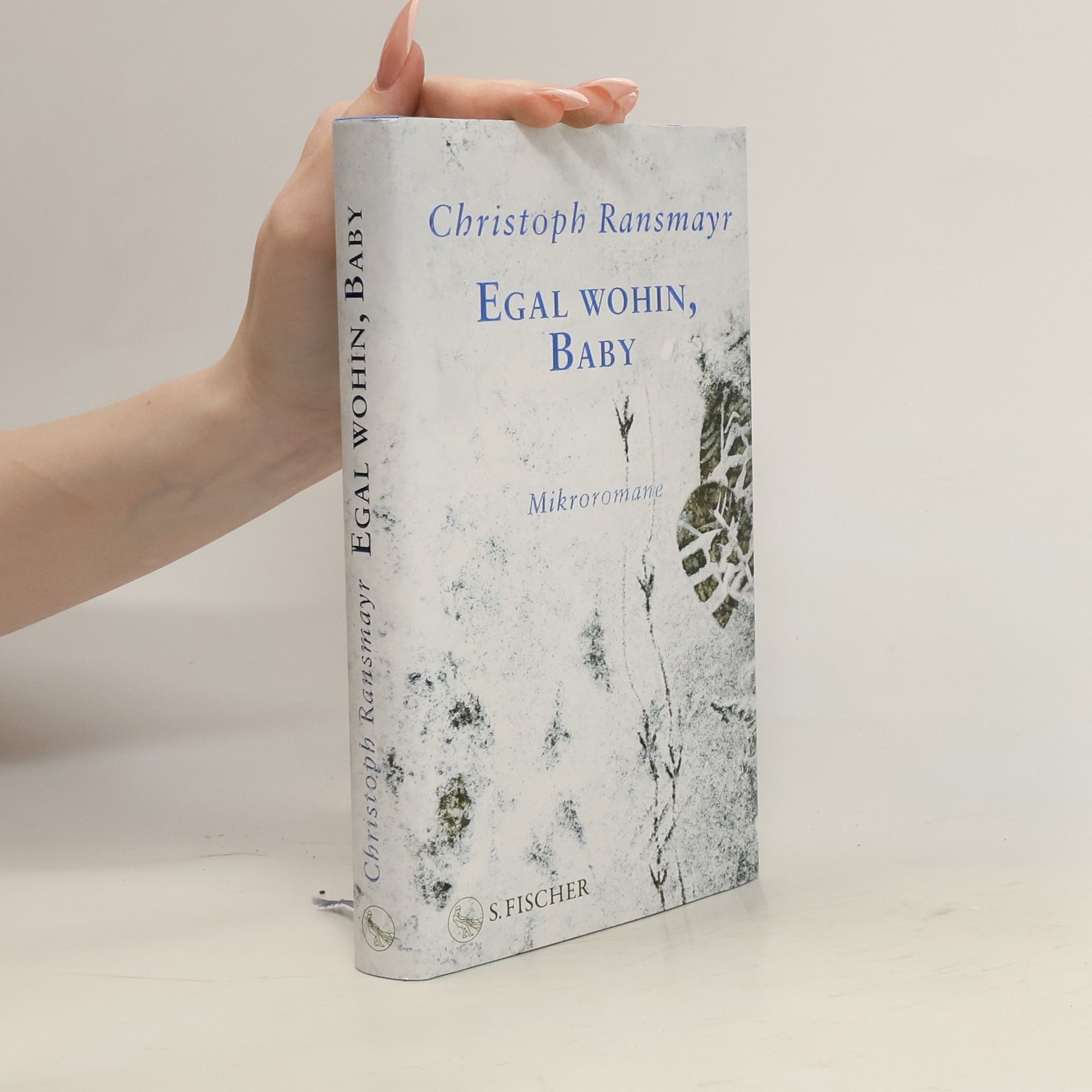 Christoph Ransmayr Egal wohin, Baby. Mikroromane