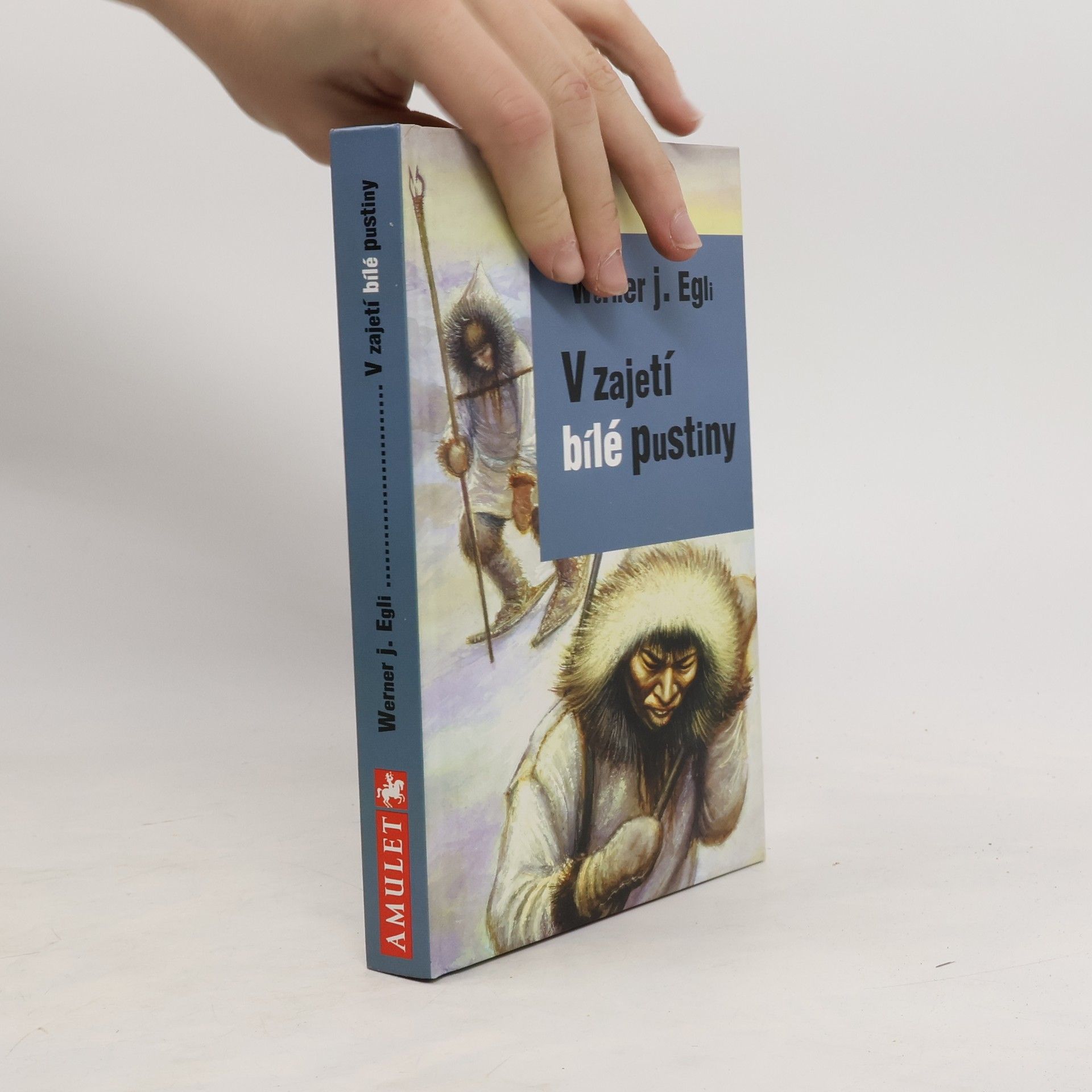 V zajetí bílé pustiny