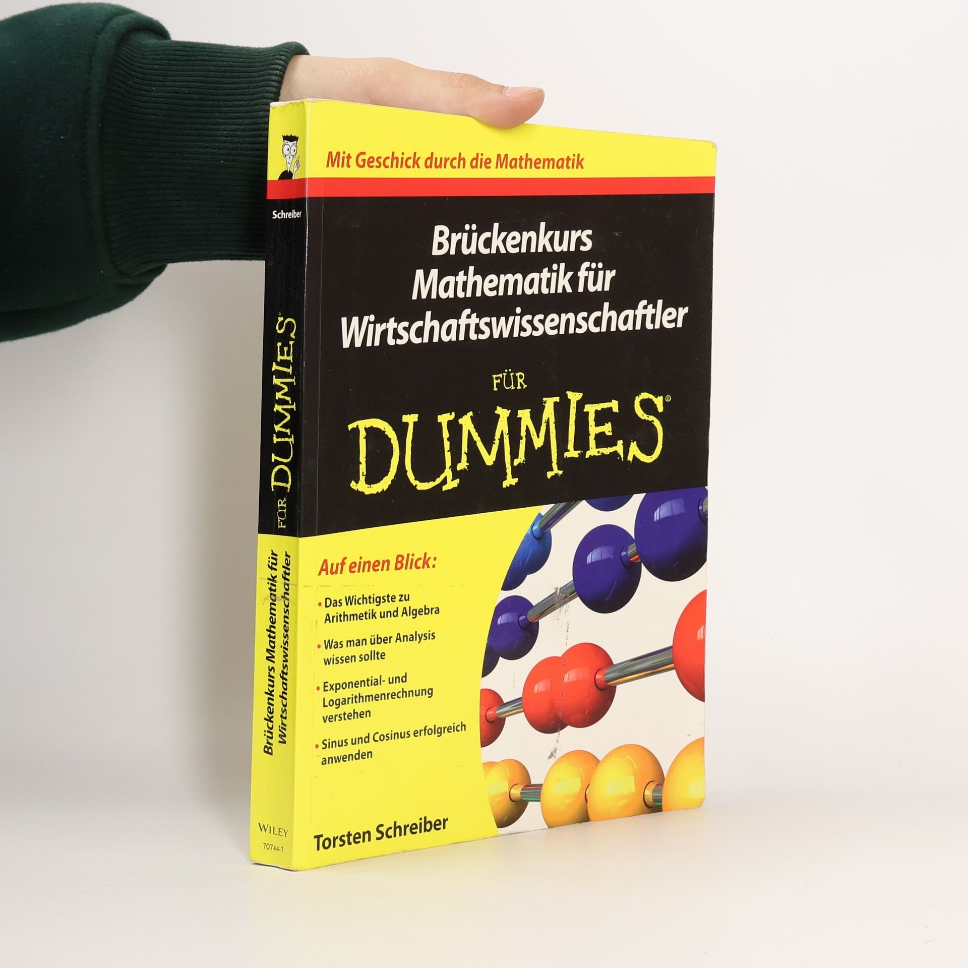 Torsten Schreiber Brückenkurs Mathematik für Wirtschaftswissenschaftler für Dummies