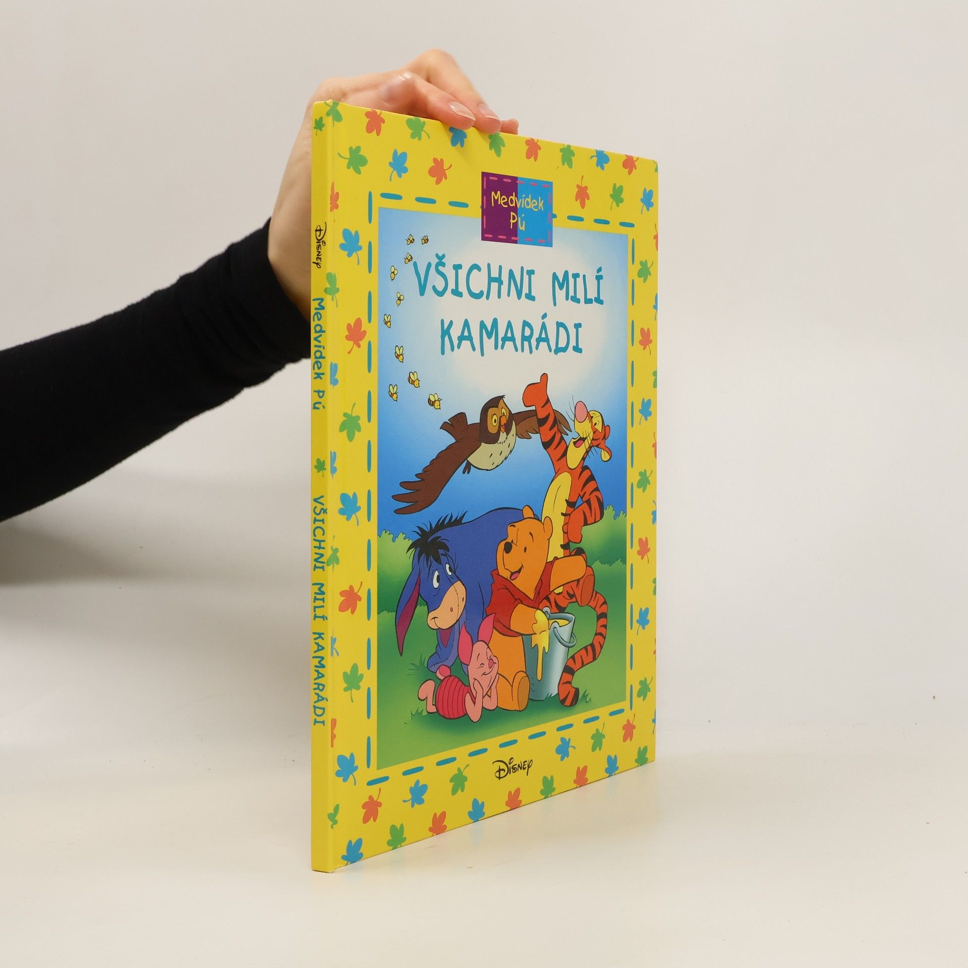 Medvídek Pú: Všichni milí kamarádi