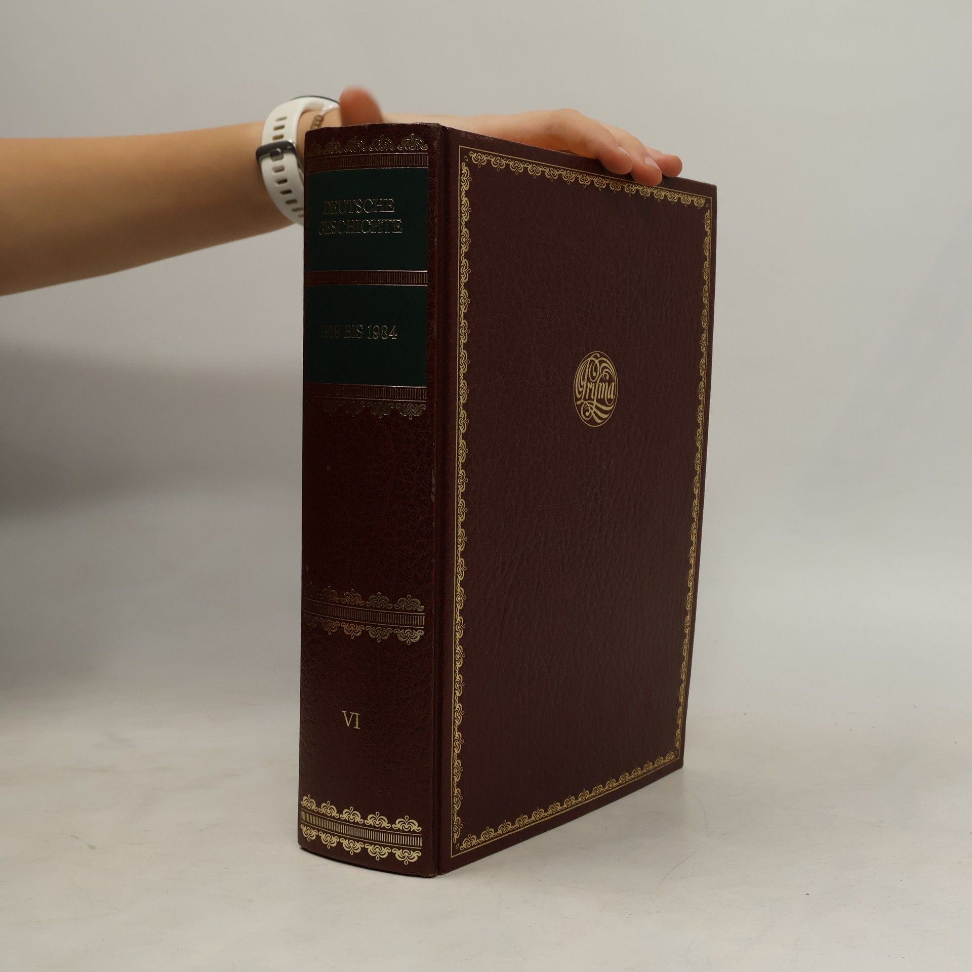 Deutsche Geschichte. Teil 11.