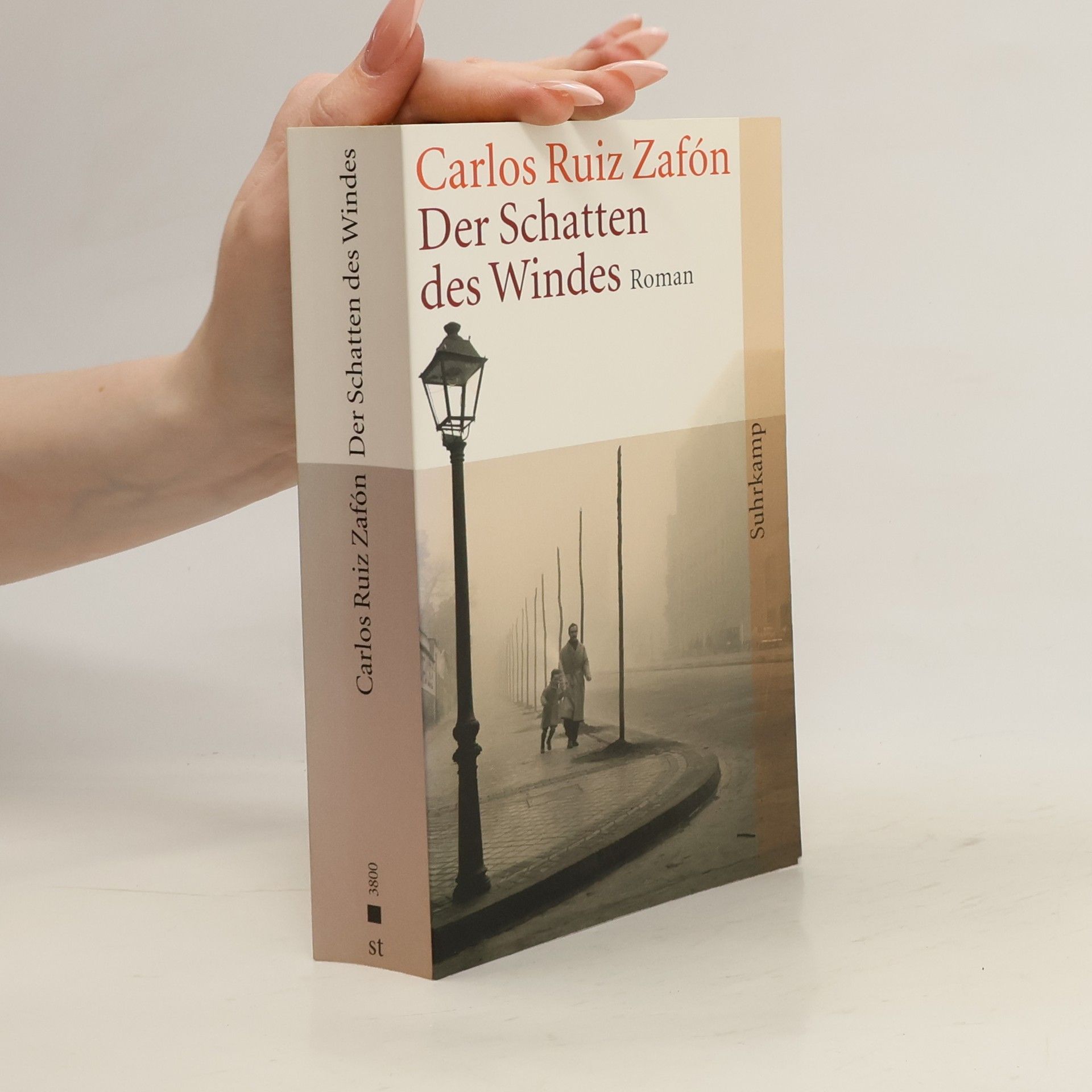 Carlos Ruiz Zafón Der Schatten des Windes