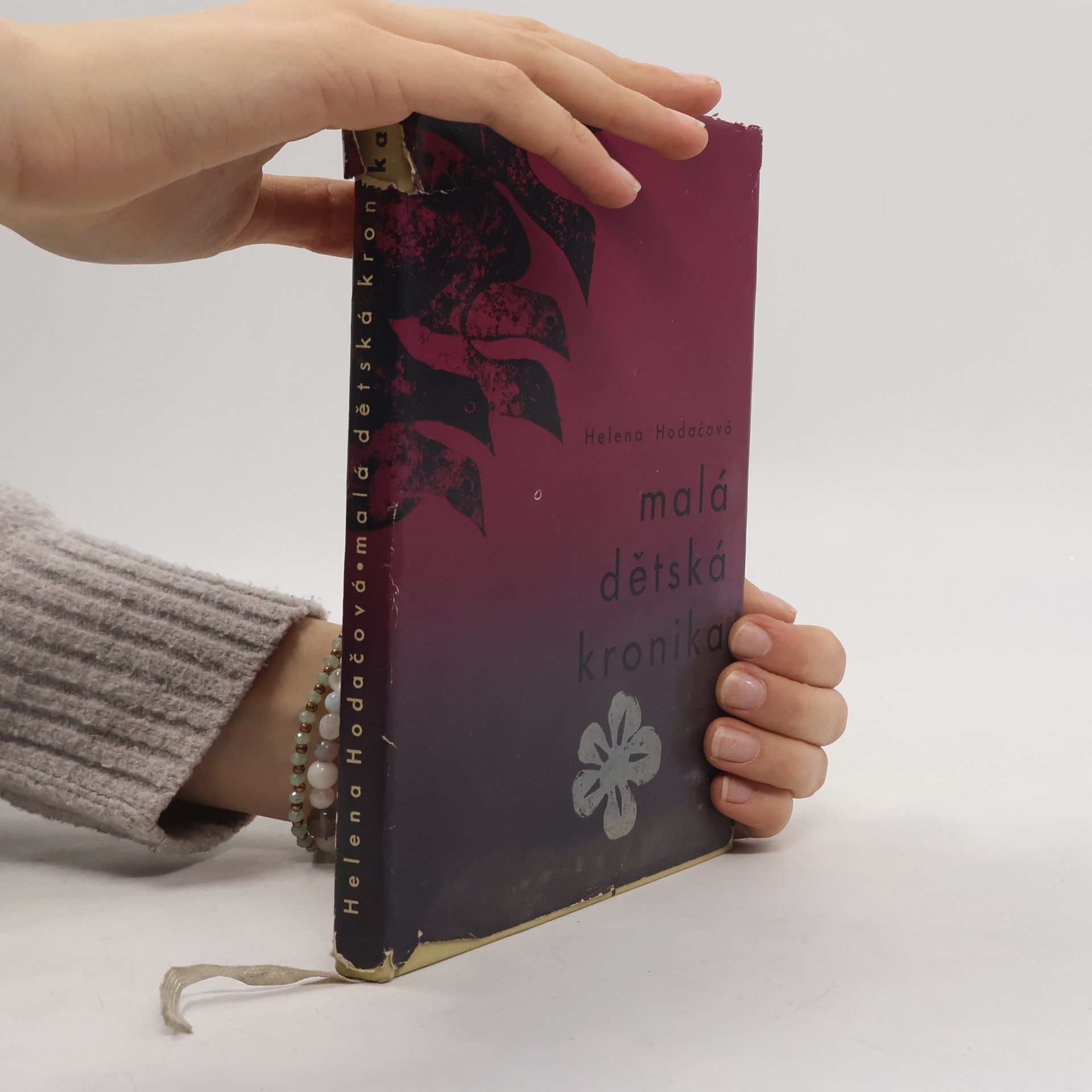 Helena Hodačová Malá dětská kronika