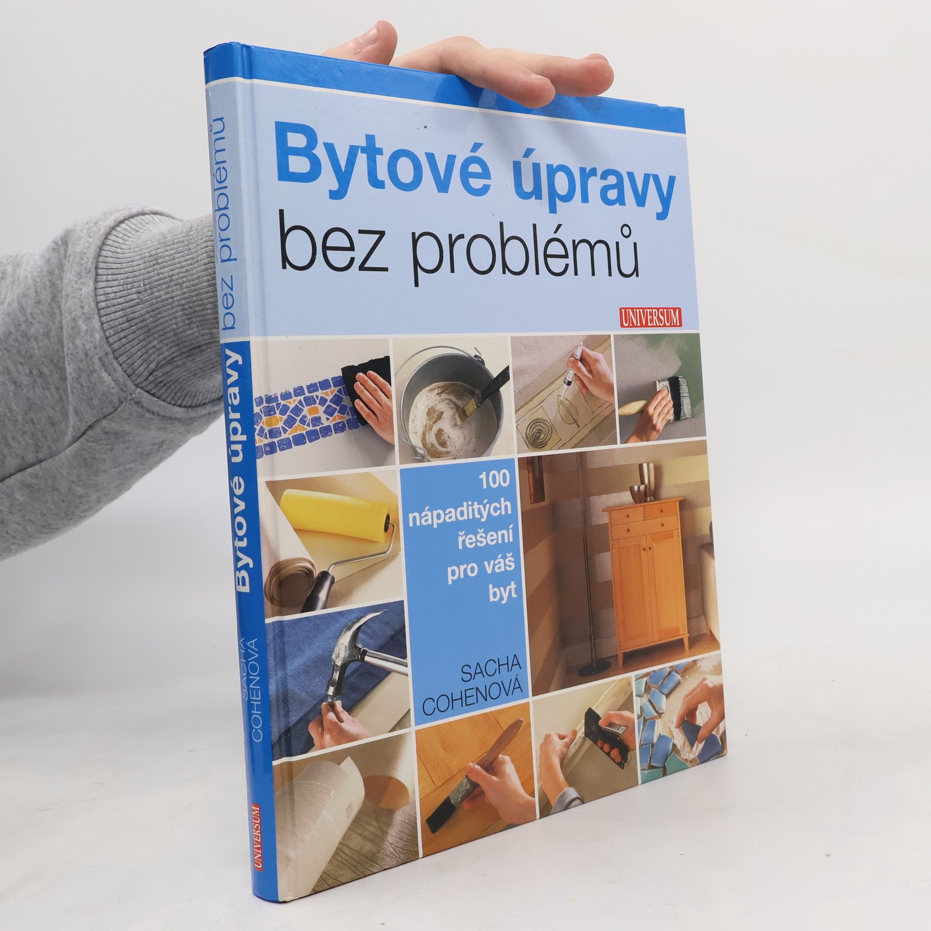 Sacha Cohen Bytové úpravy bez problémů. 100 nápaditých řešení pro váš byt