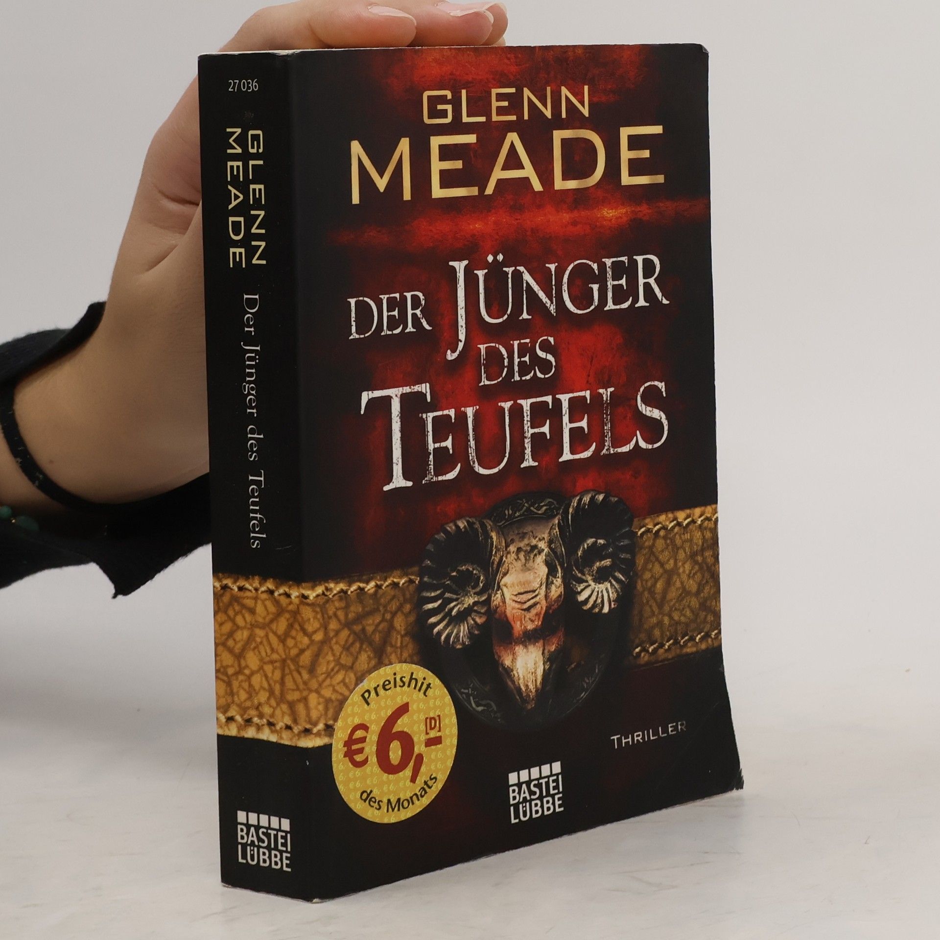 Glenn Meade Der Jünger des Teufels