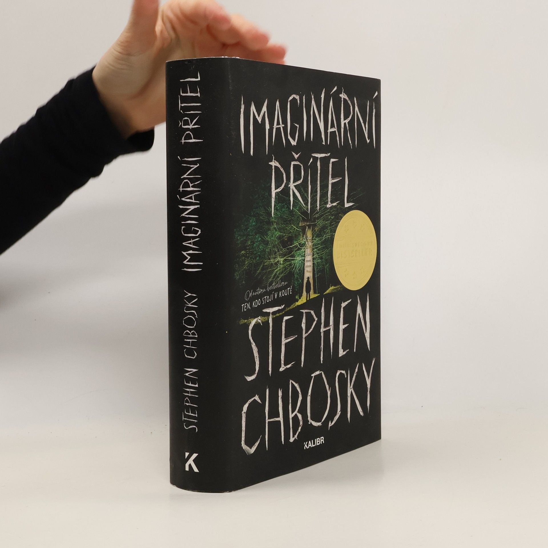 Stephen Chbosky Imaginární přítel