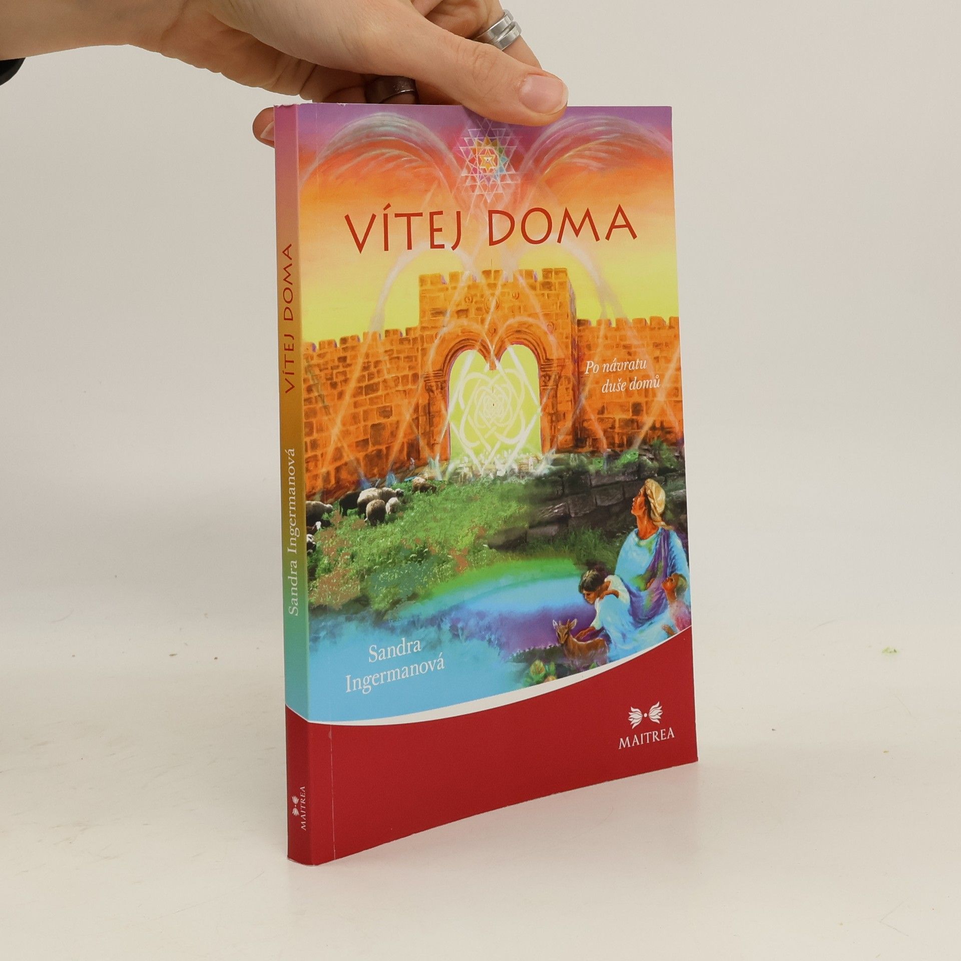 Sandra Ingerman Vítej doma - Po návratu duše domů