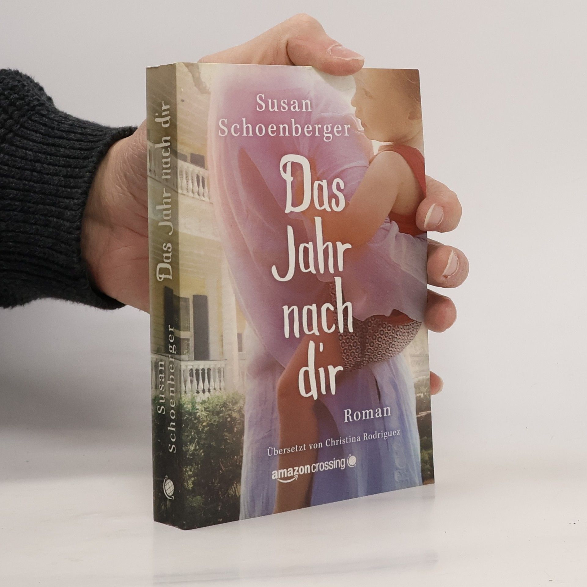 Susan Schoenberger Das Jahr nach dir