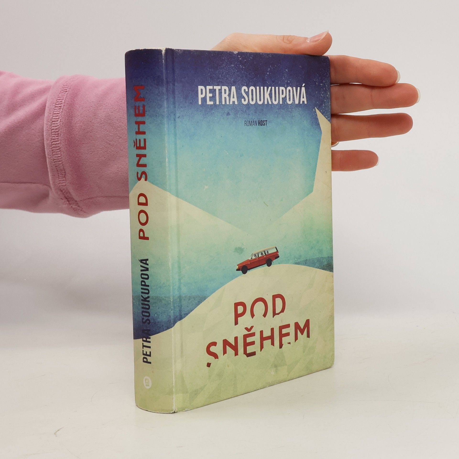 Petra Soukupová Pod sněhem