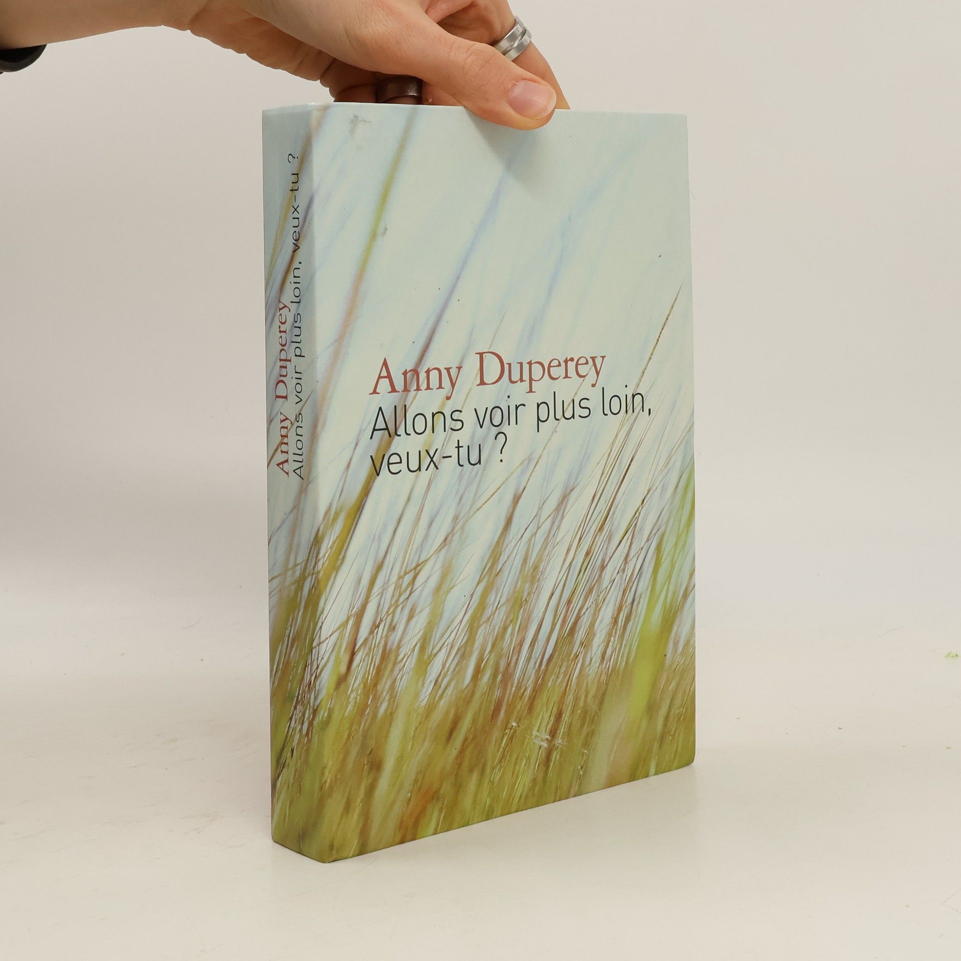 Allons voir plus loin, veux-tu ?