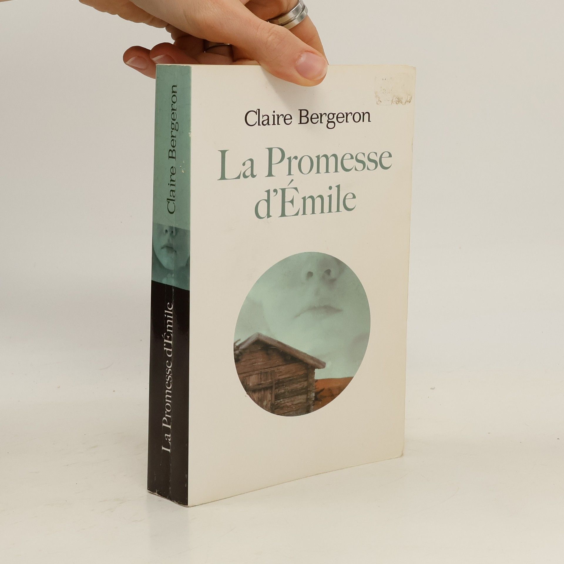 Claire Bergeron La promesse d'Émile