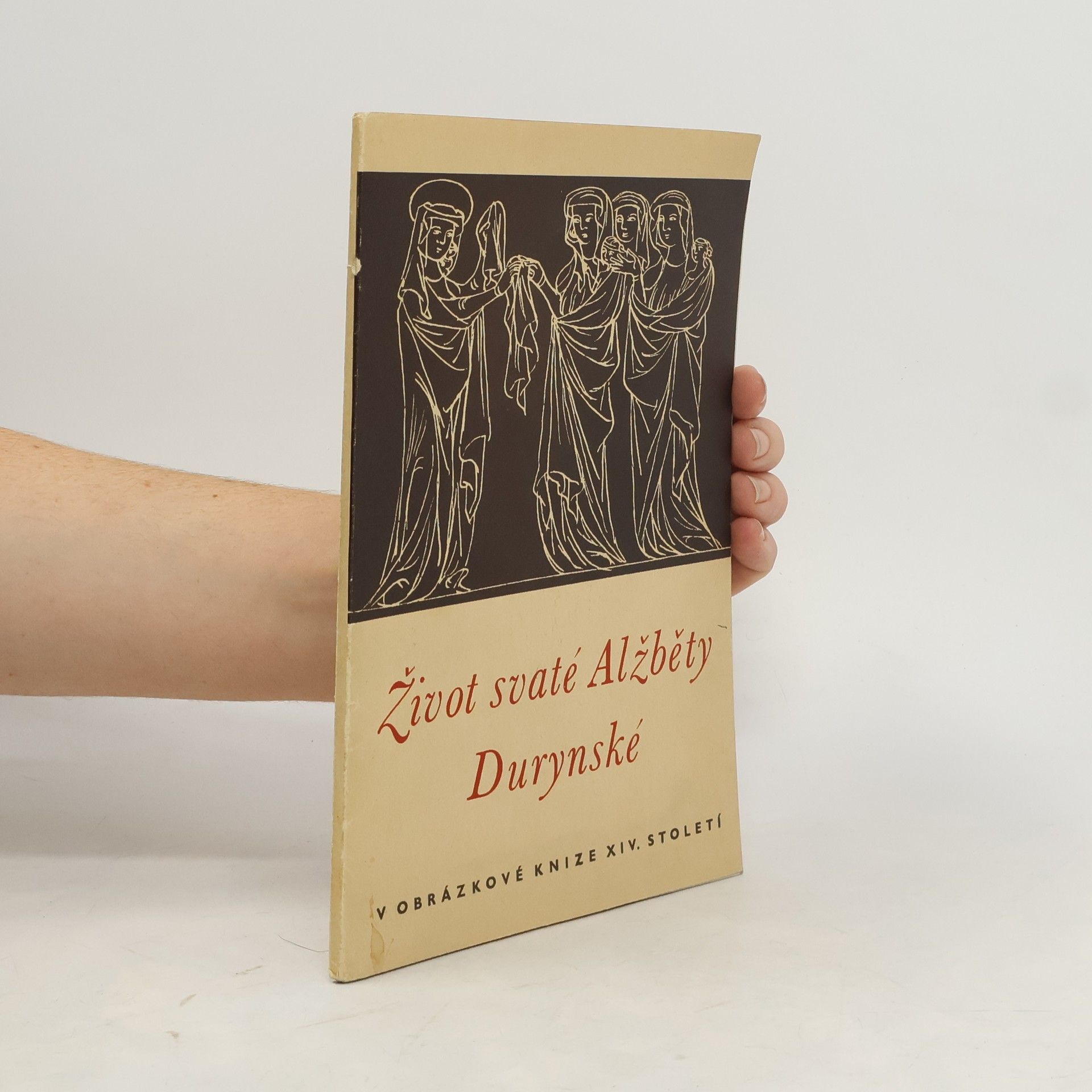 Kolektív autorov Život svaté Alžběty Durynské v obrázkové knize českého původu ze XIV. století