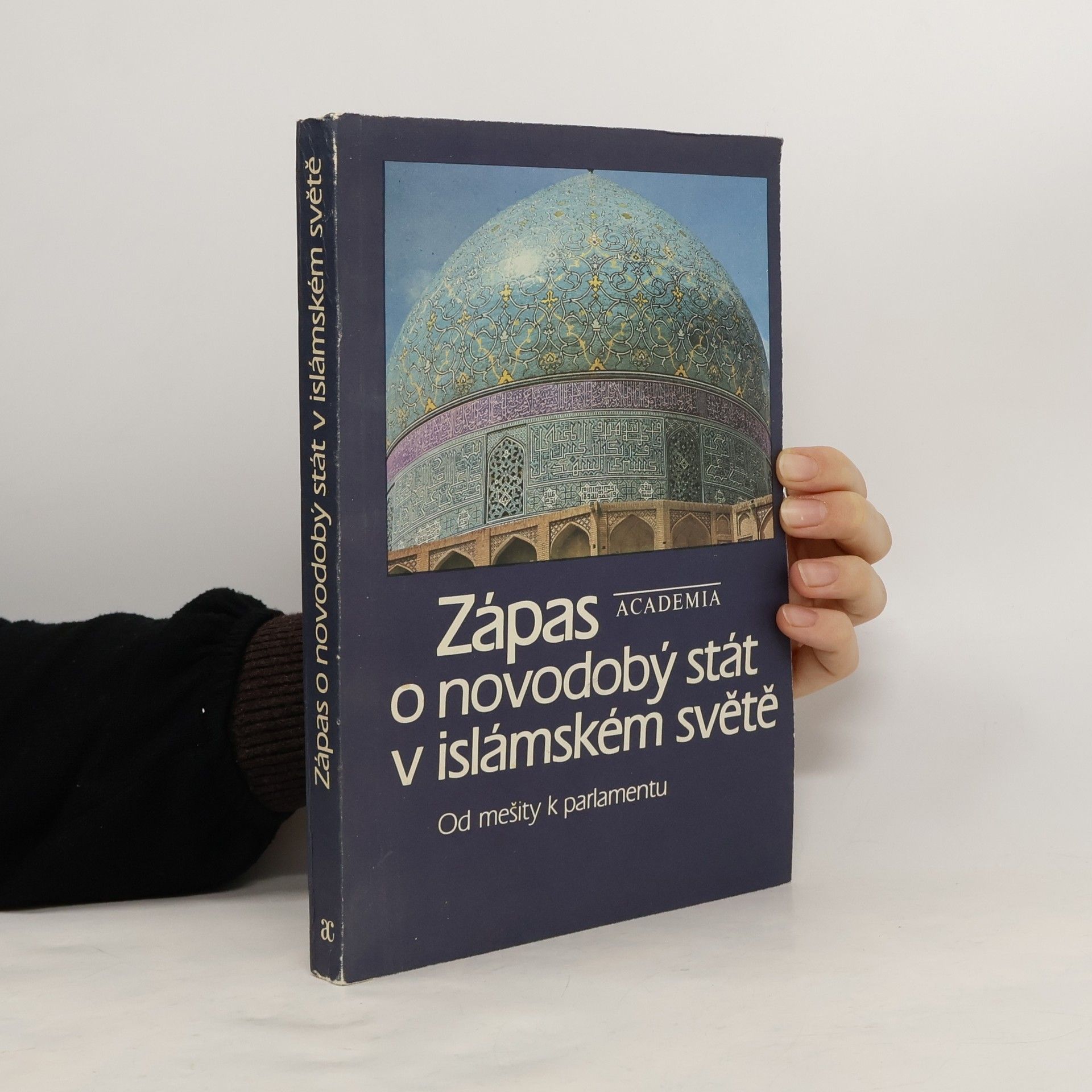 Zápas o novodobý stát v islámském světě – Od mešity k parlamentu