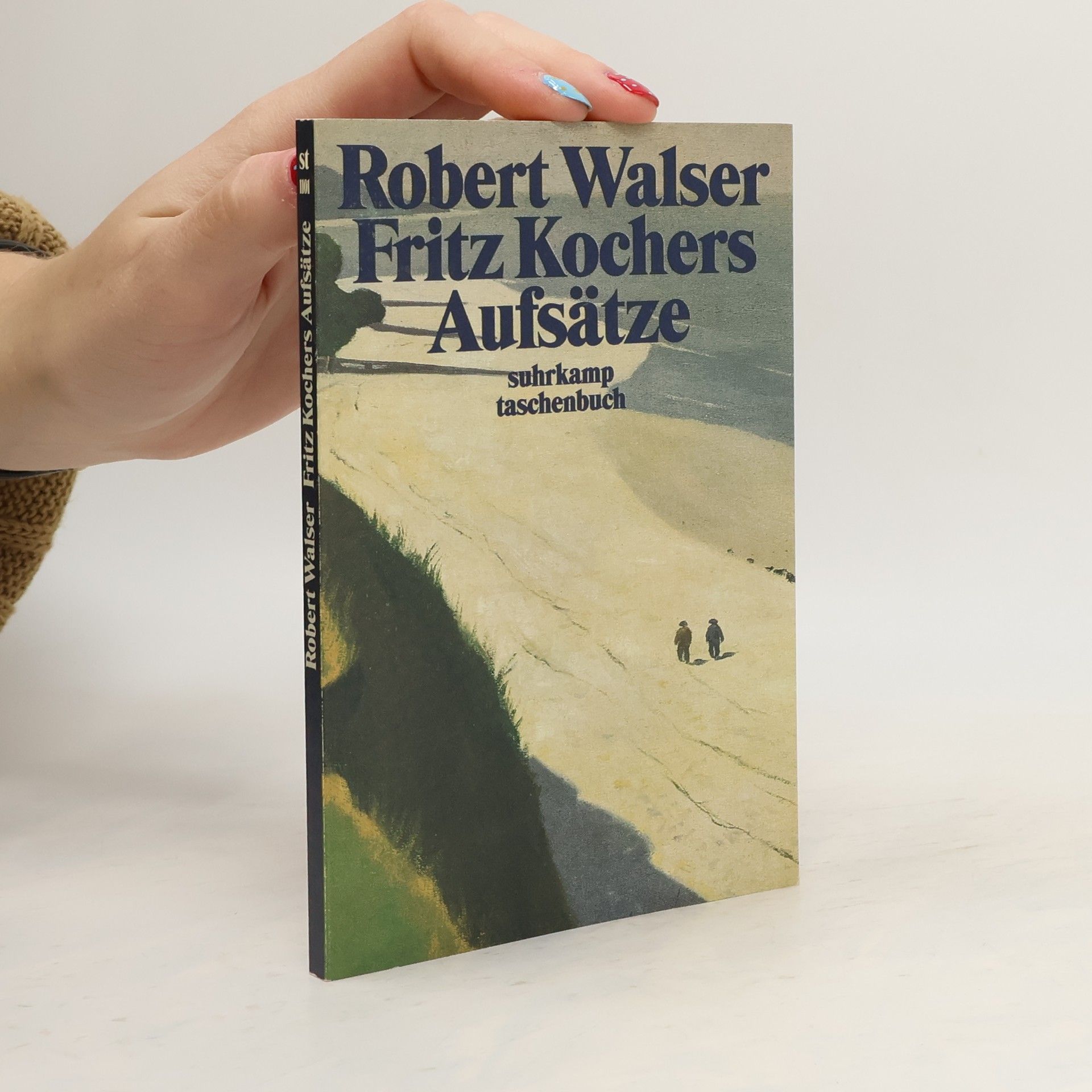 Robert Walser Fritz Kochers Aufsätze