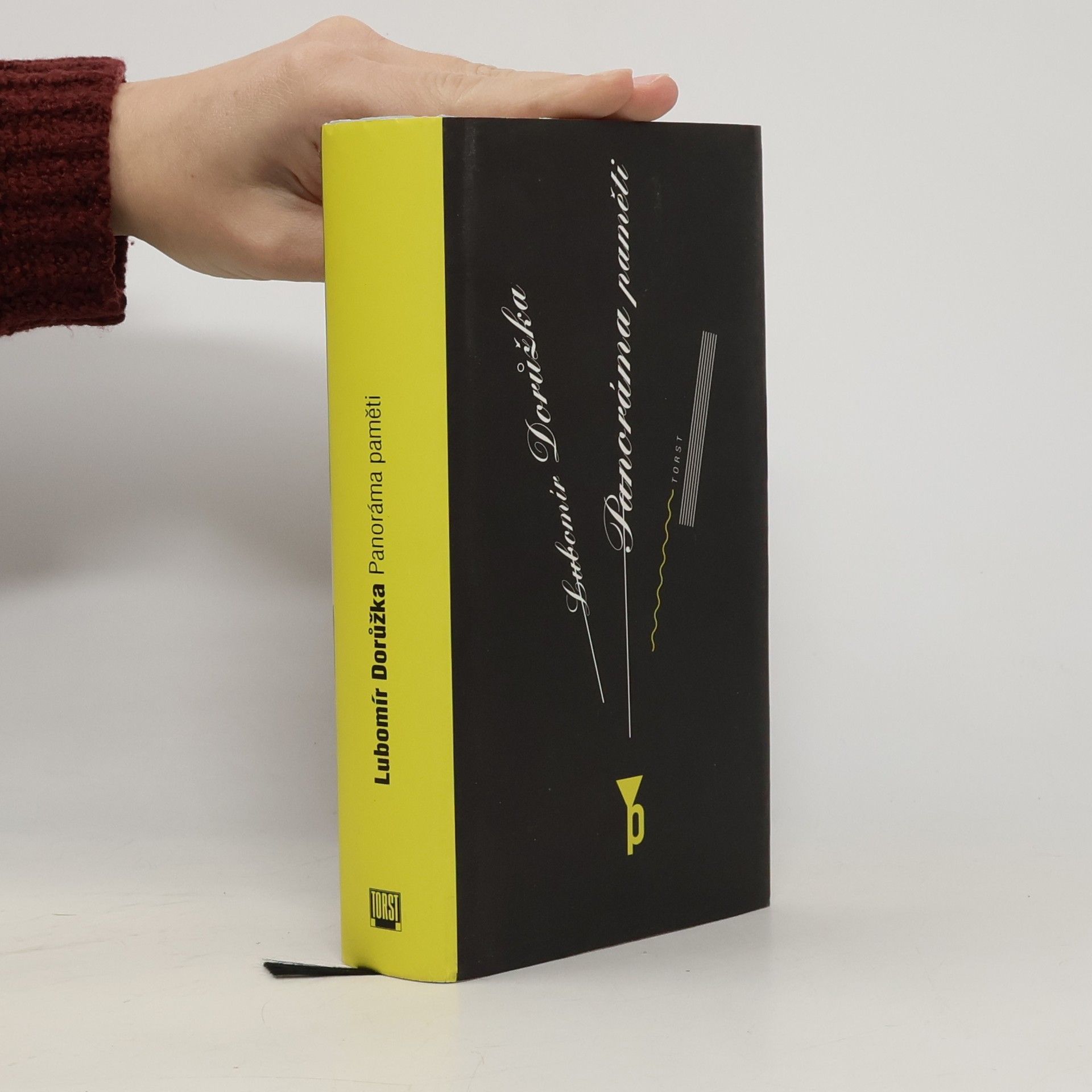 Lubomír Dorůžka Panorama paměti