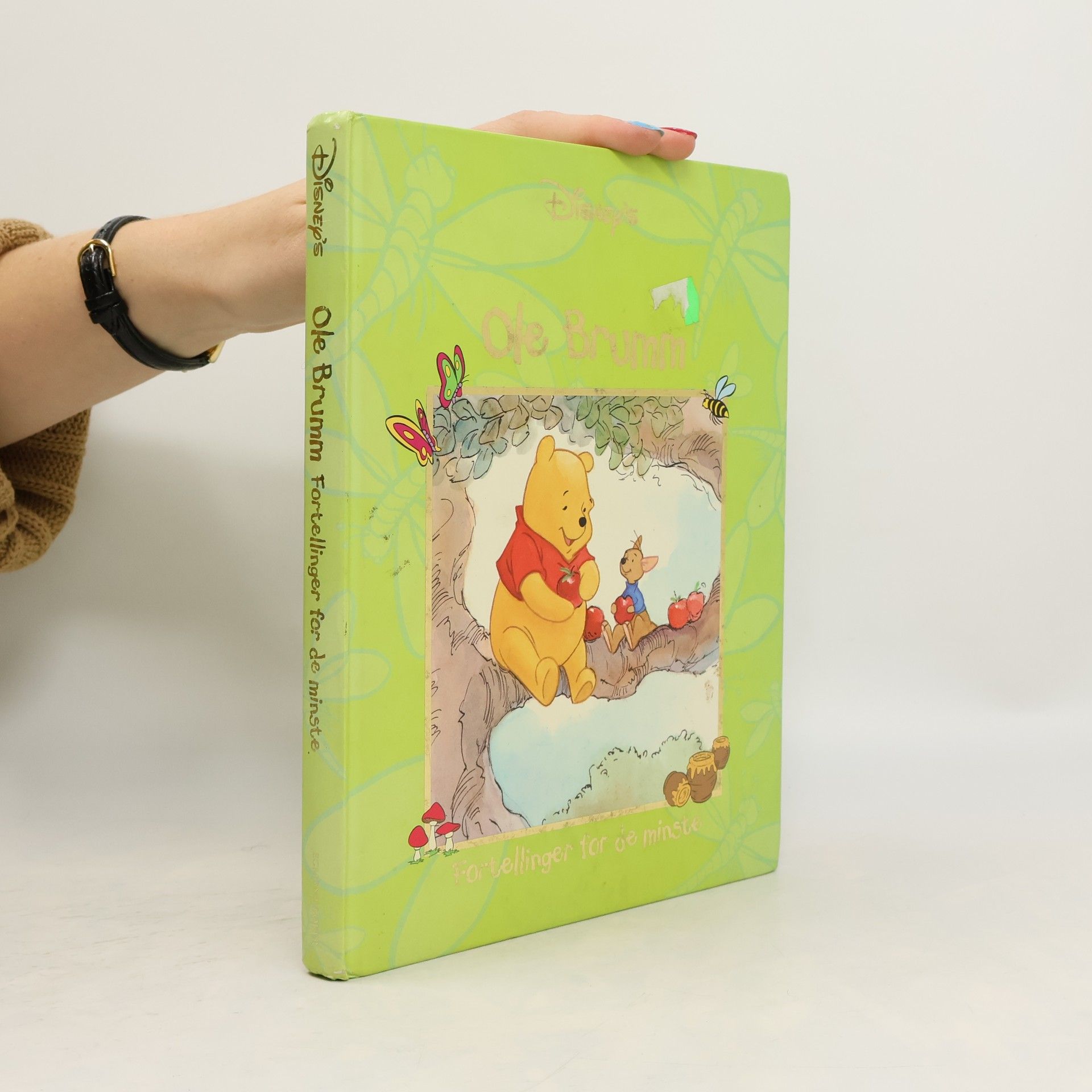 Kolektiv autorů Disney's: Ole Brumm