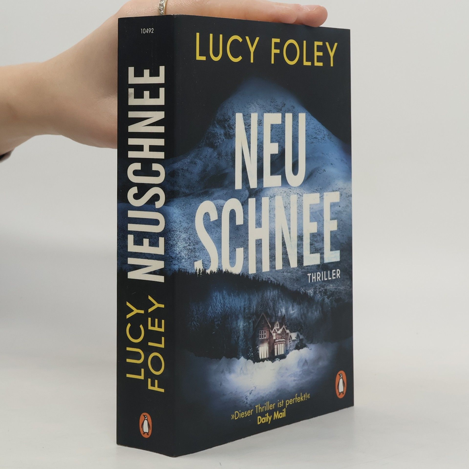 Lucy Foley Neuschnee