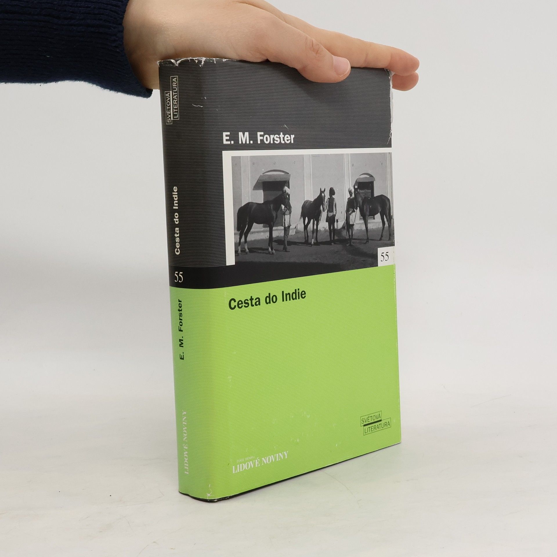 Edward M. Forster Cesta do Indie