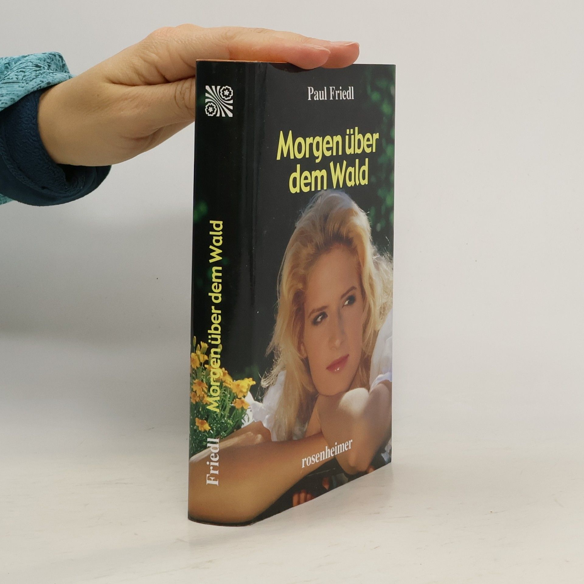 Paul Friedl Morgen über dem Wald