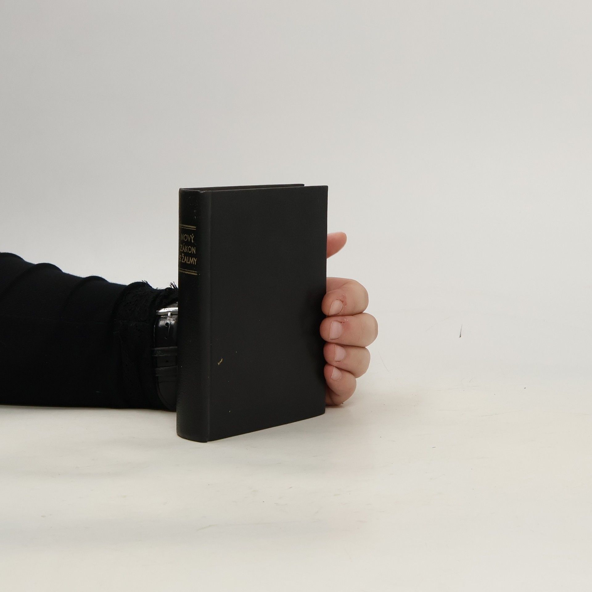 Kolektiv autorů Nový zákon s žalmy