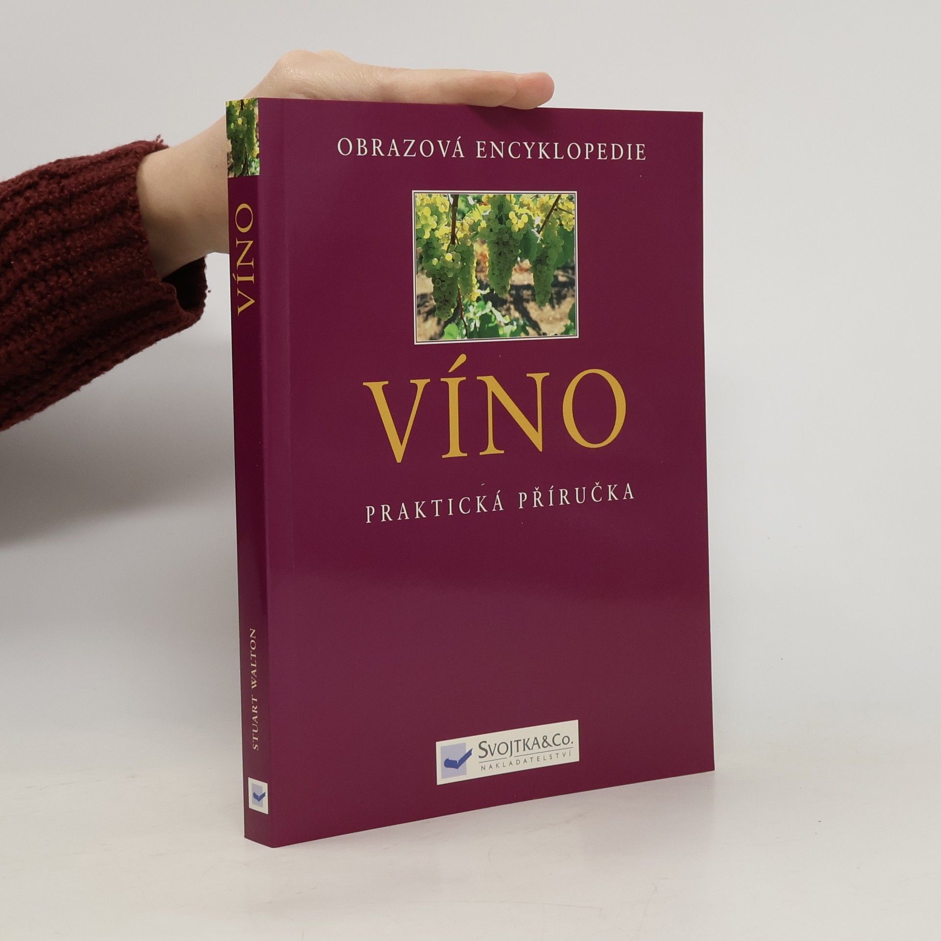 Stuart Walton Víno - praktická příručka
