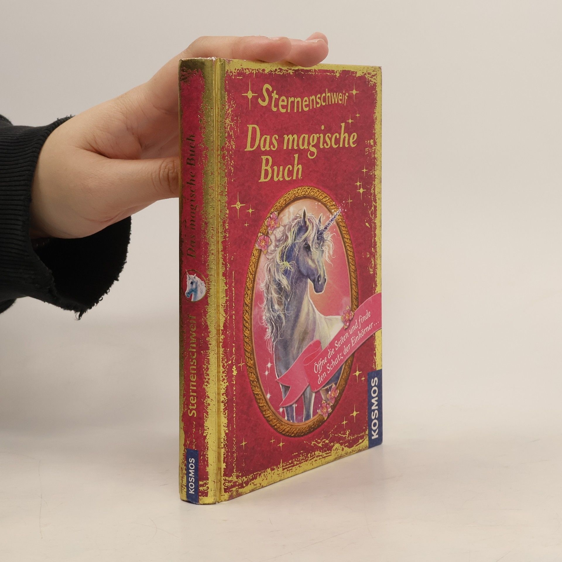 Carolin Ina Schröter Sternenschweif - das magische Buch