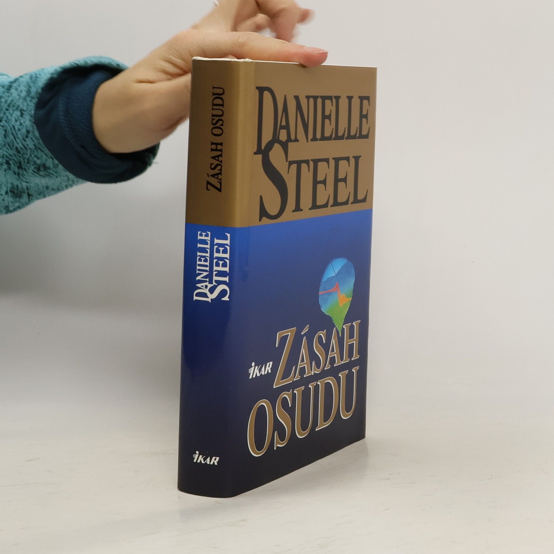 Danielle Steel Zásah osudu