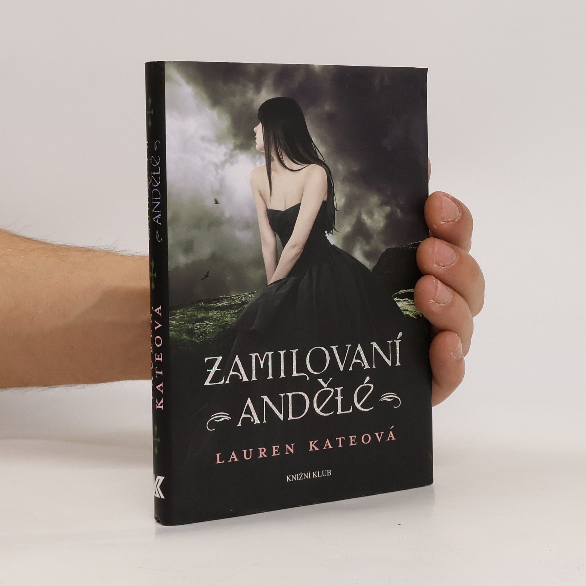 Lauren Kate Zamilovaní andělé