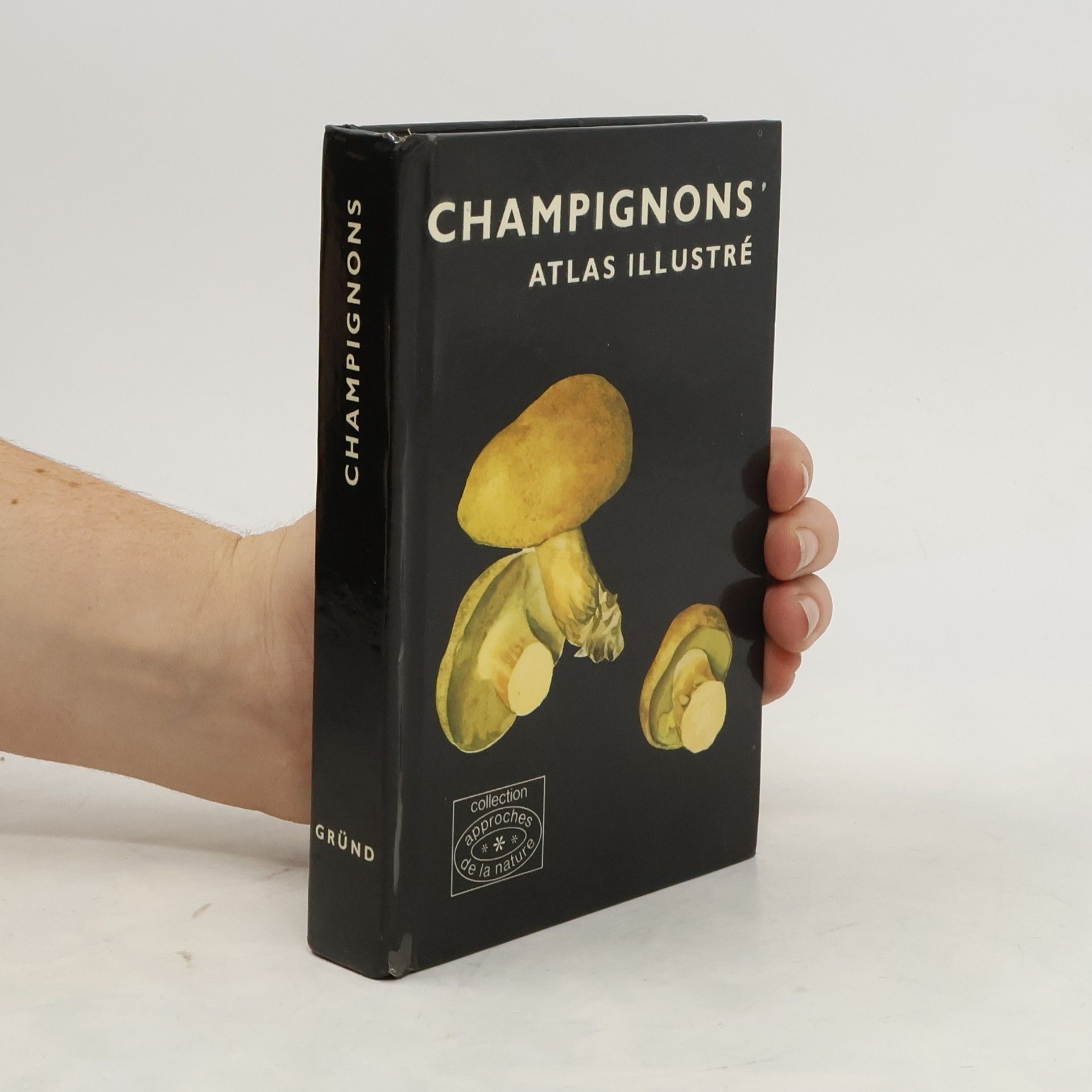 Albert Pilát Champignons. Atlas illustré