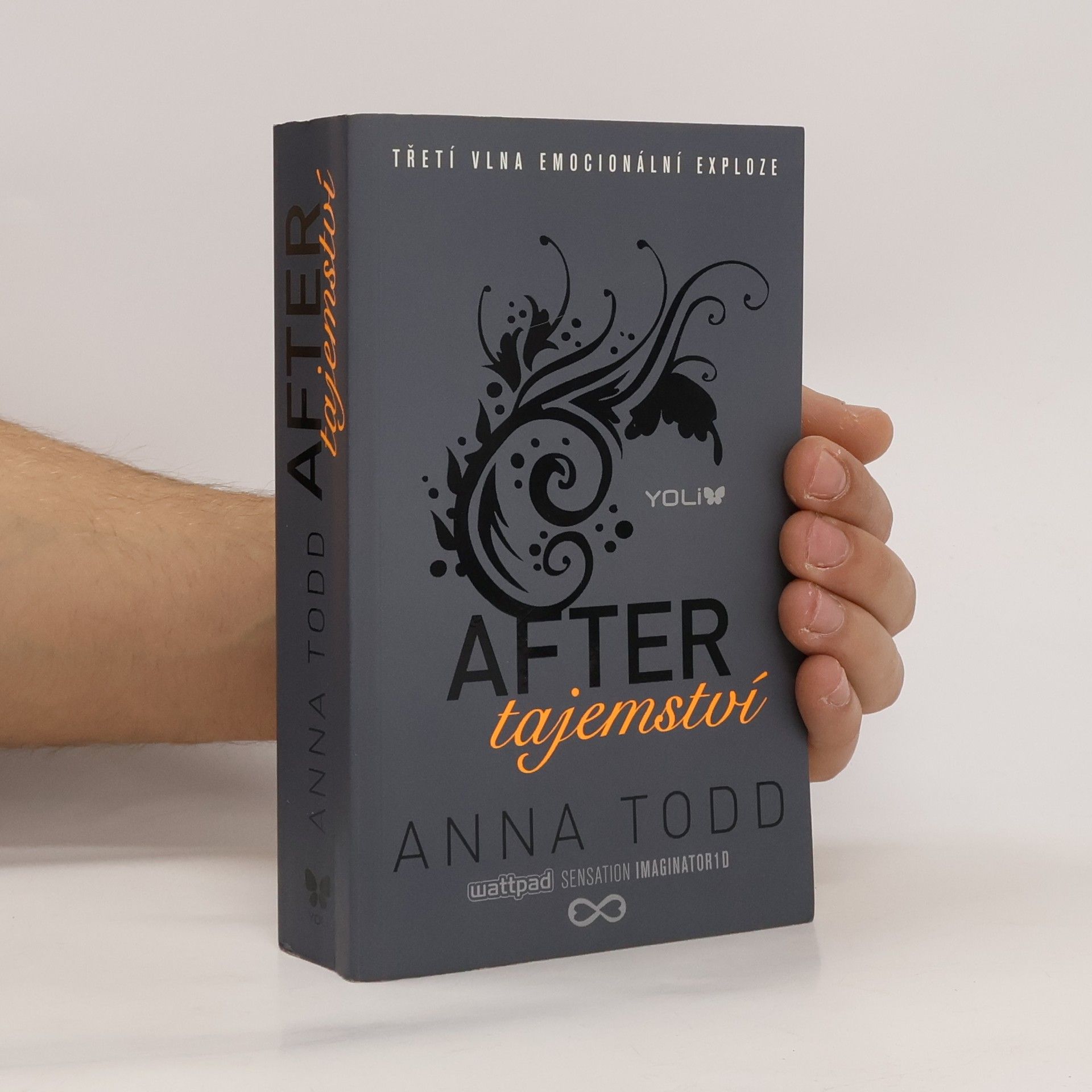 Anna Todd After. Tajemství