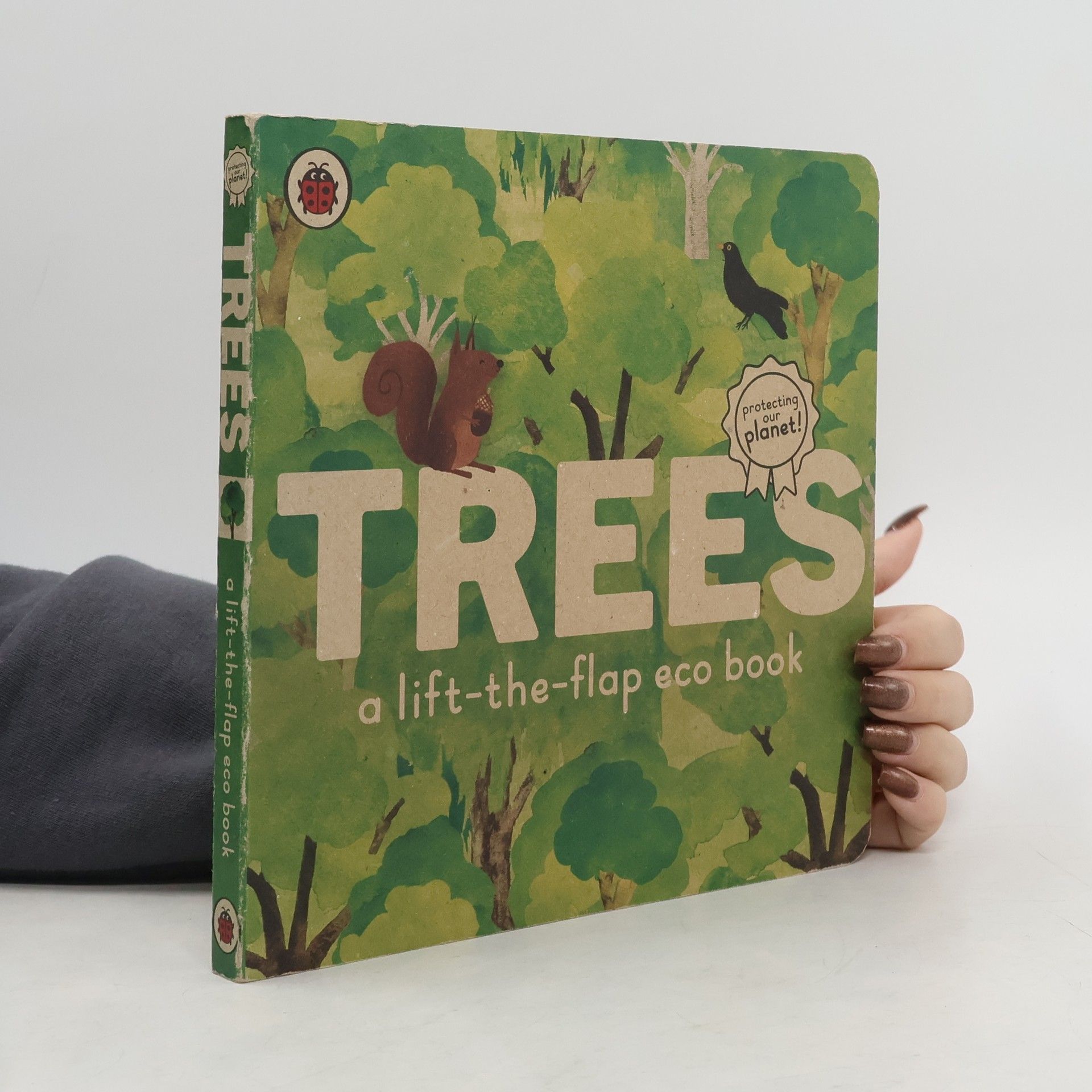 Trees: A lift-the-flap eco book