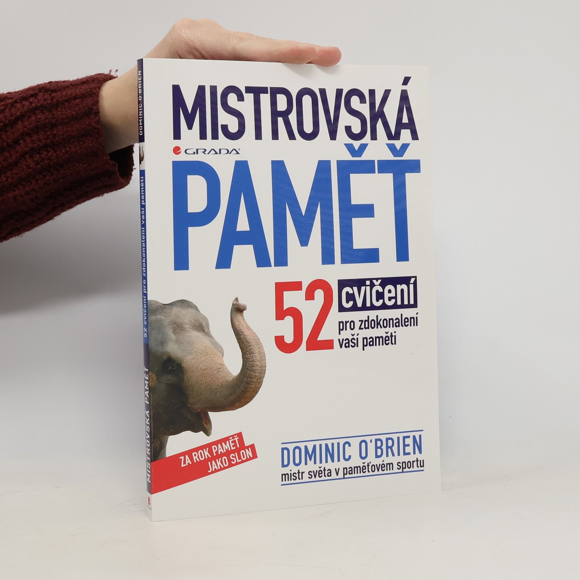 Mistrovská paměť : 52 cvičení pro zdokonalení vaší paměti