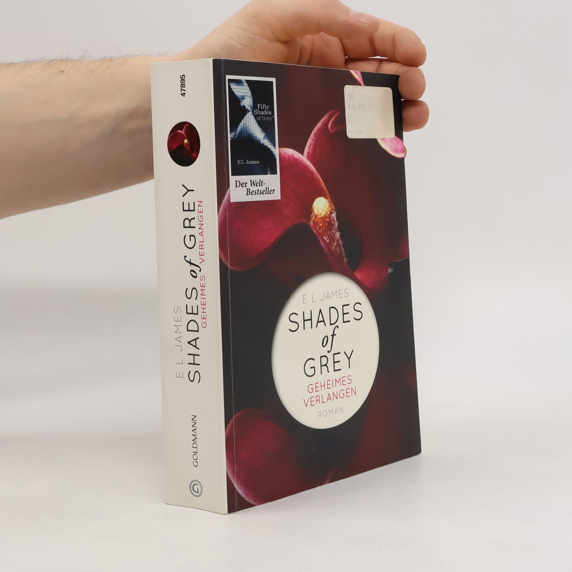 Shades of Grey. Geheimes Verlangen