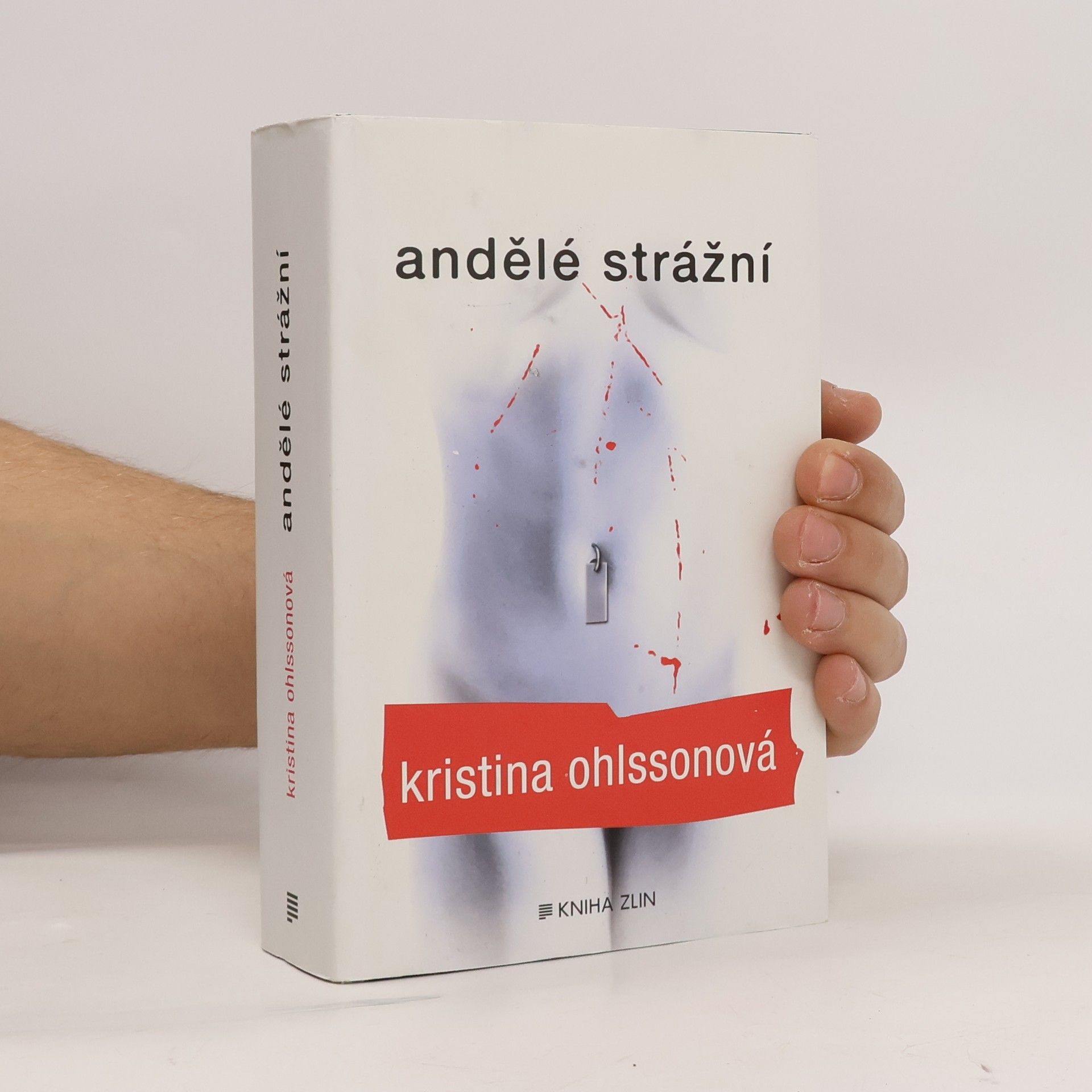 Kristina Ohlsson Andělé strážní