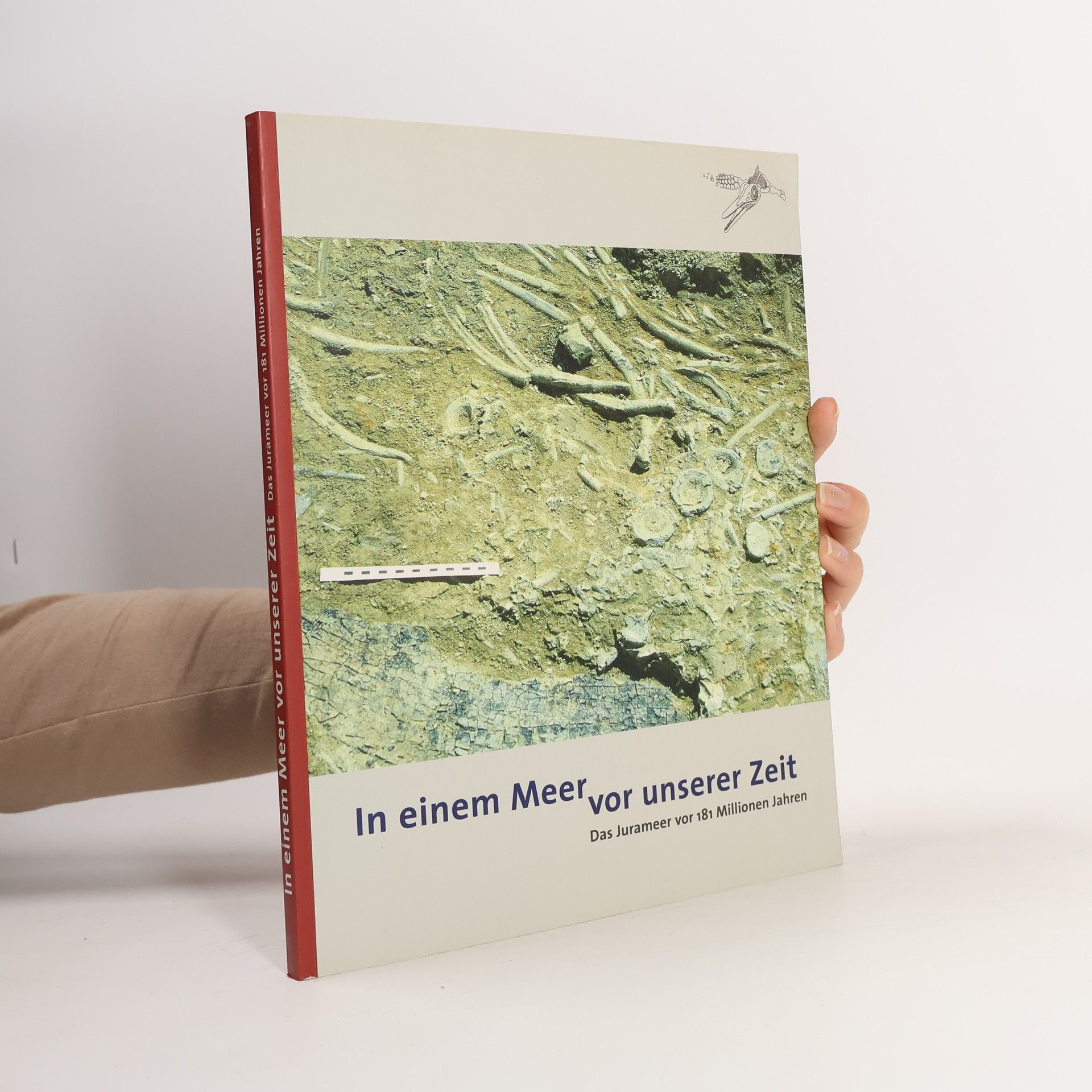 Reinhard Rademacher In einem Meer vor unserer Zeit