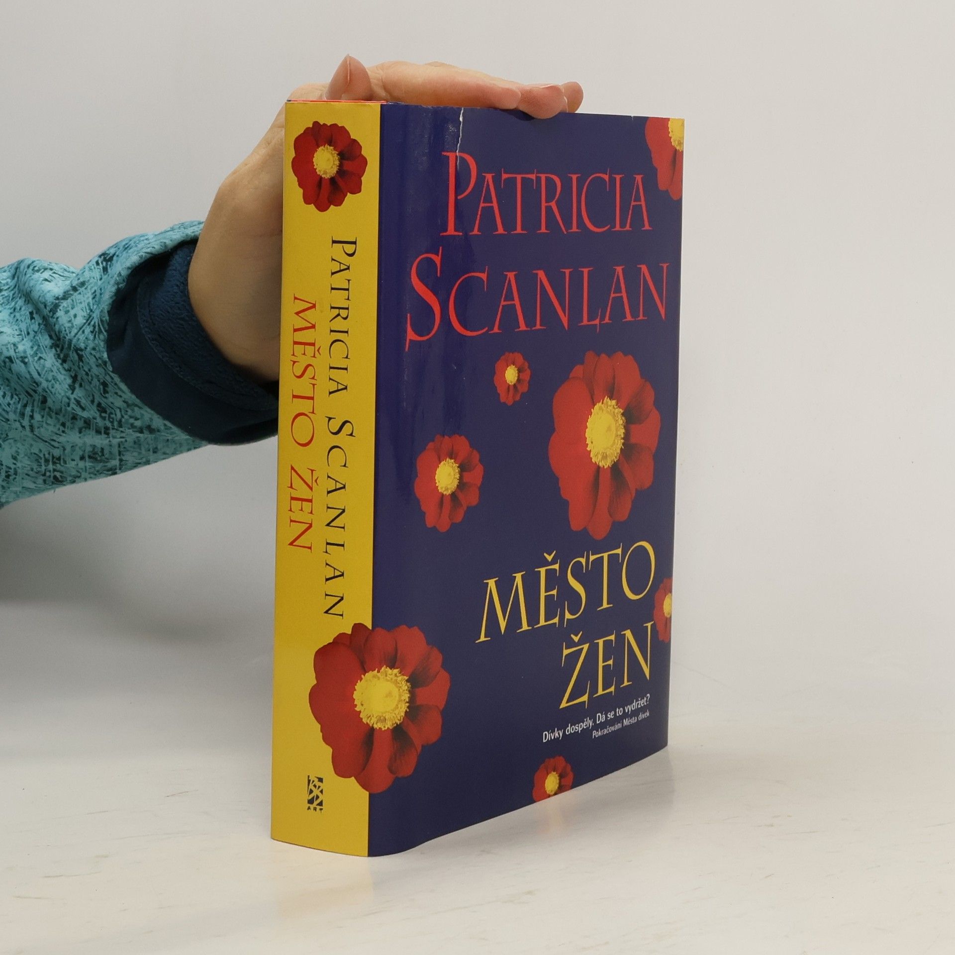 Patricia Scanlan Město žen