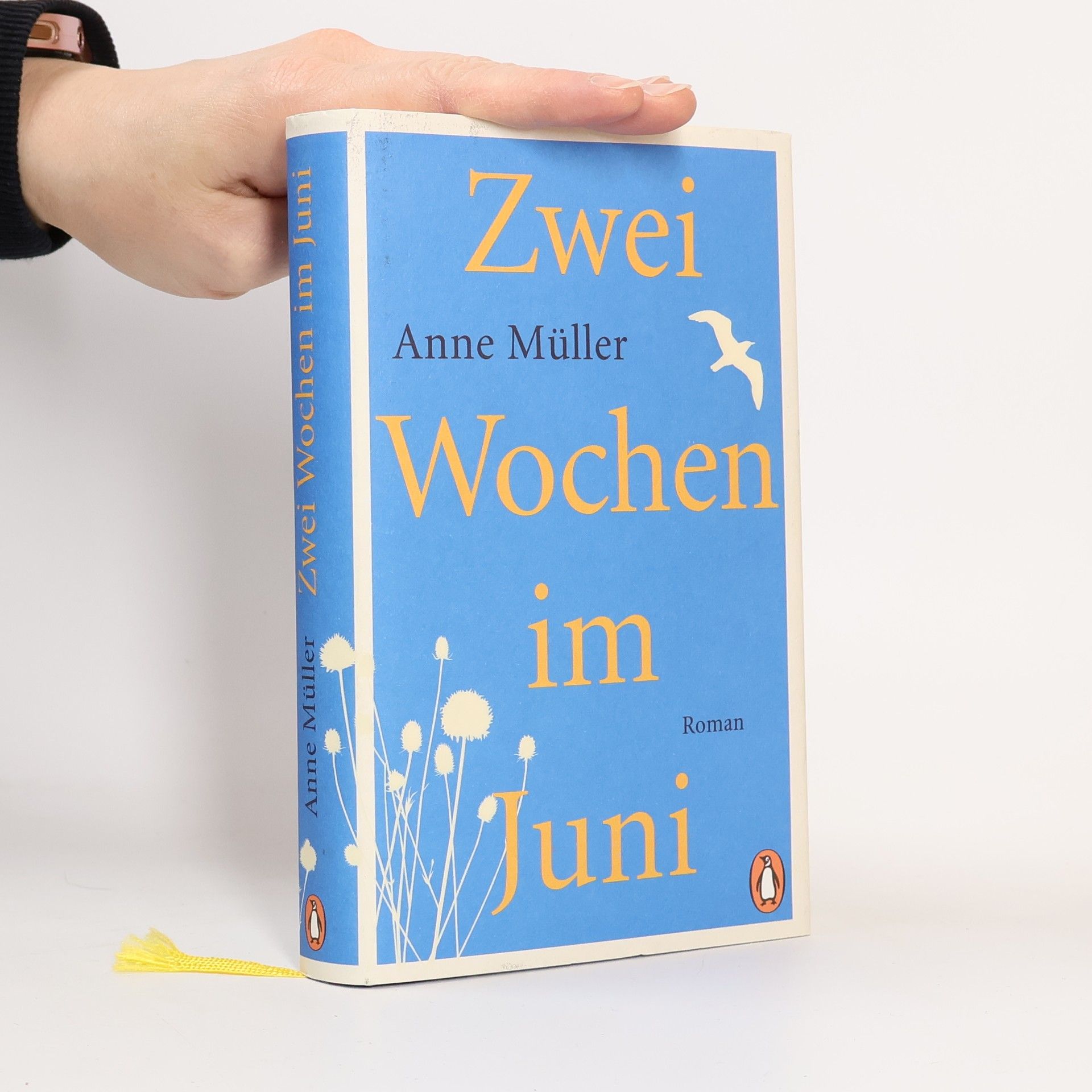 Anne Müller Zwei Wochen im Juni