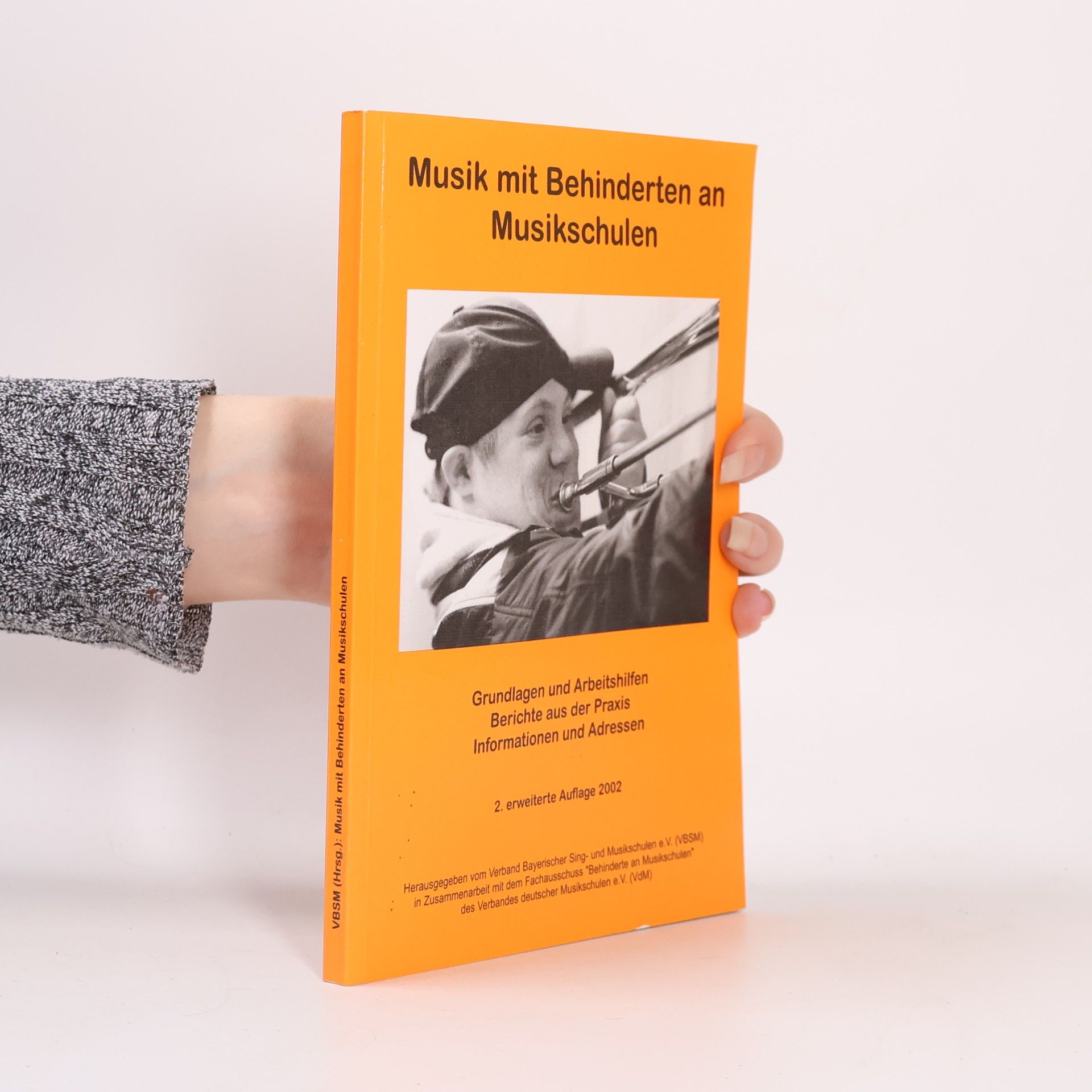 Kolektiv autorů Musik mit Behinderten an Musikschulen