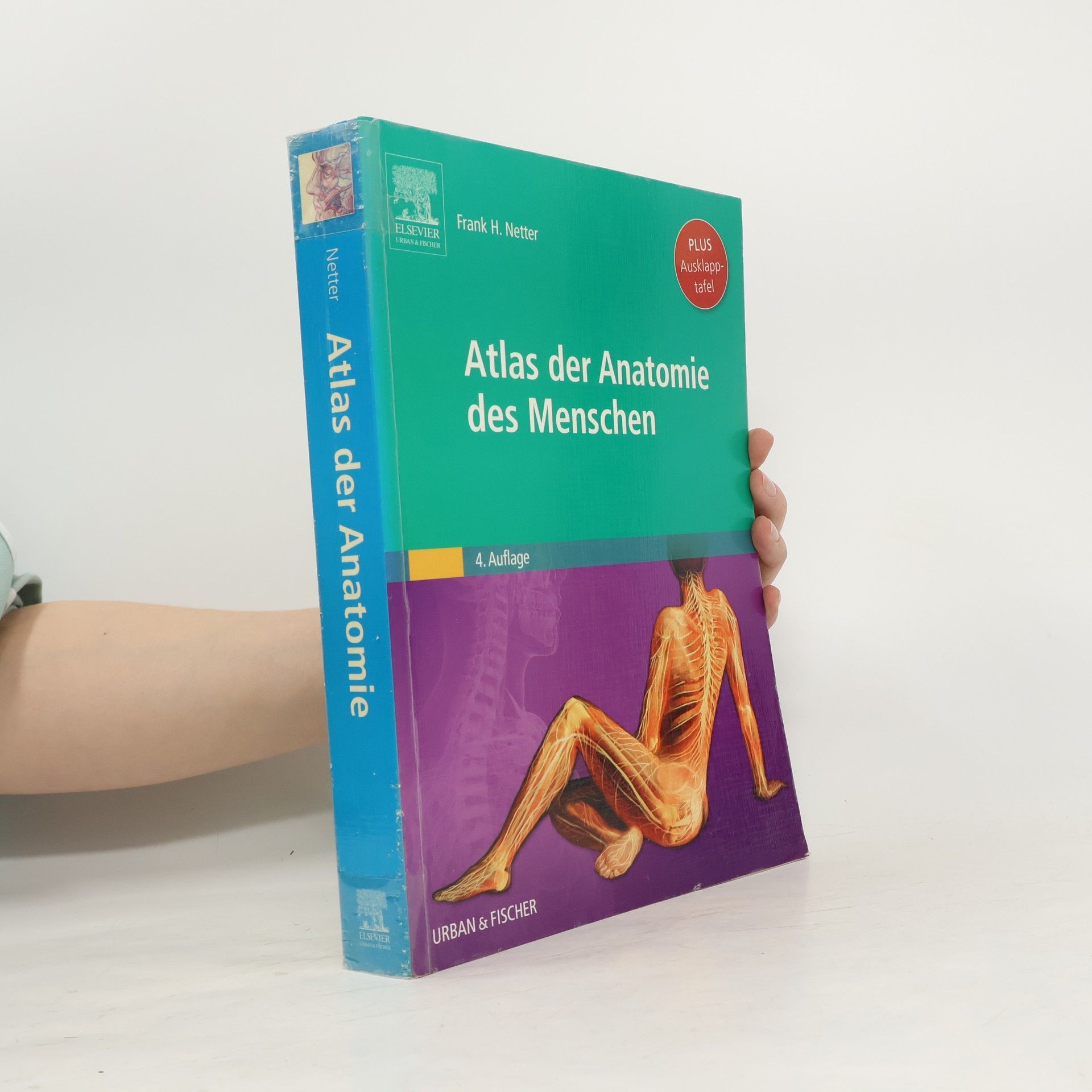 Frank H. Netter Atlas der Anatomie des Menschen
