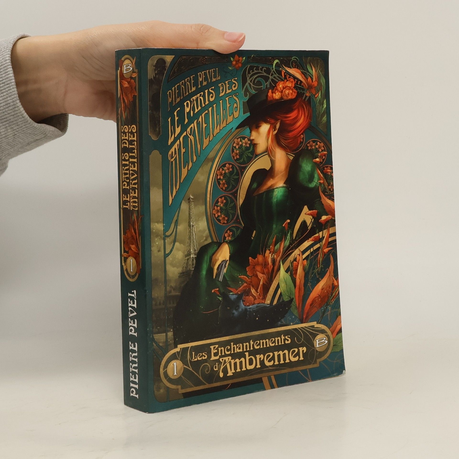 Les Enchantements d'Ambremer 1