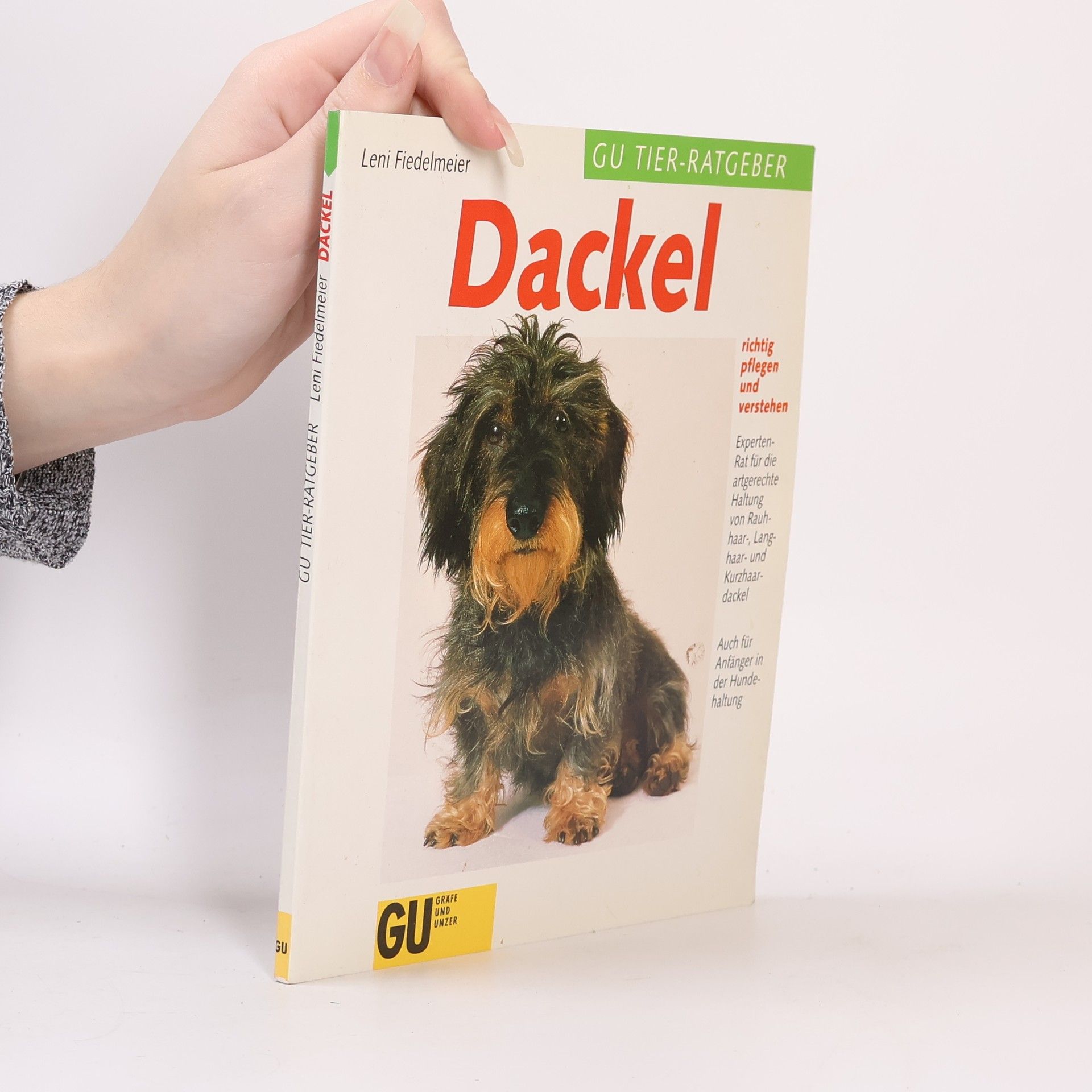 Dackel richtig pflegen und verstehen