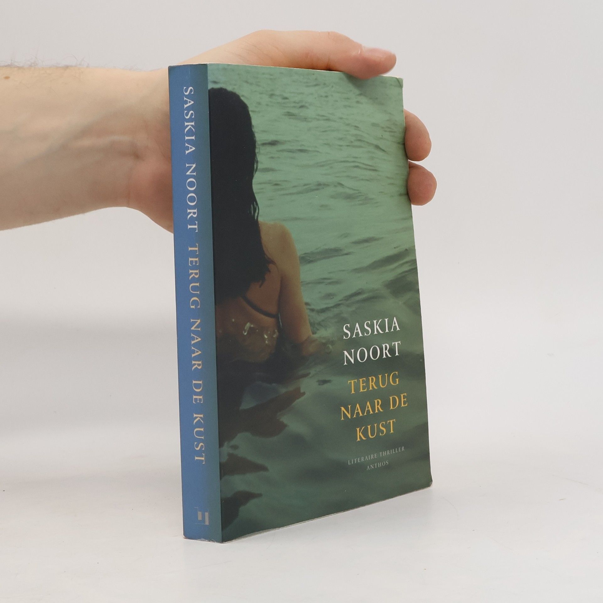 Saskia Noort Terug naar de kust