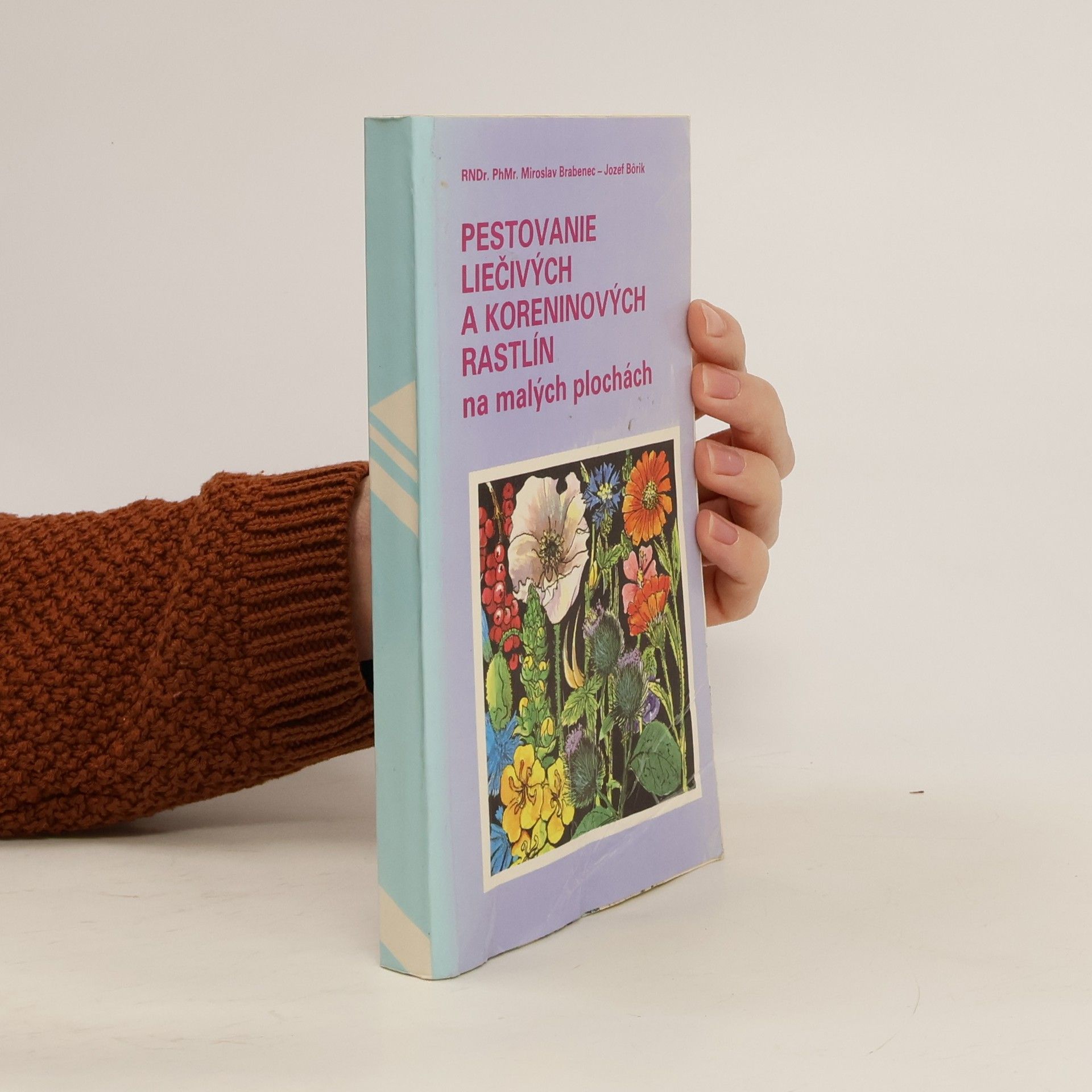 Pestovanie liečivých a koreninových rastlín na malých plochách