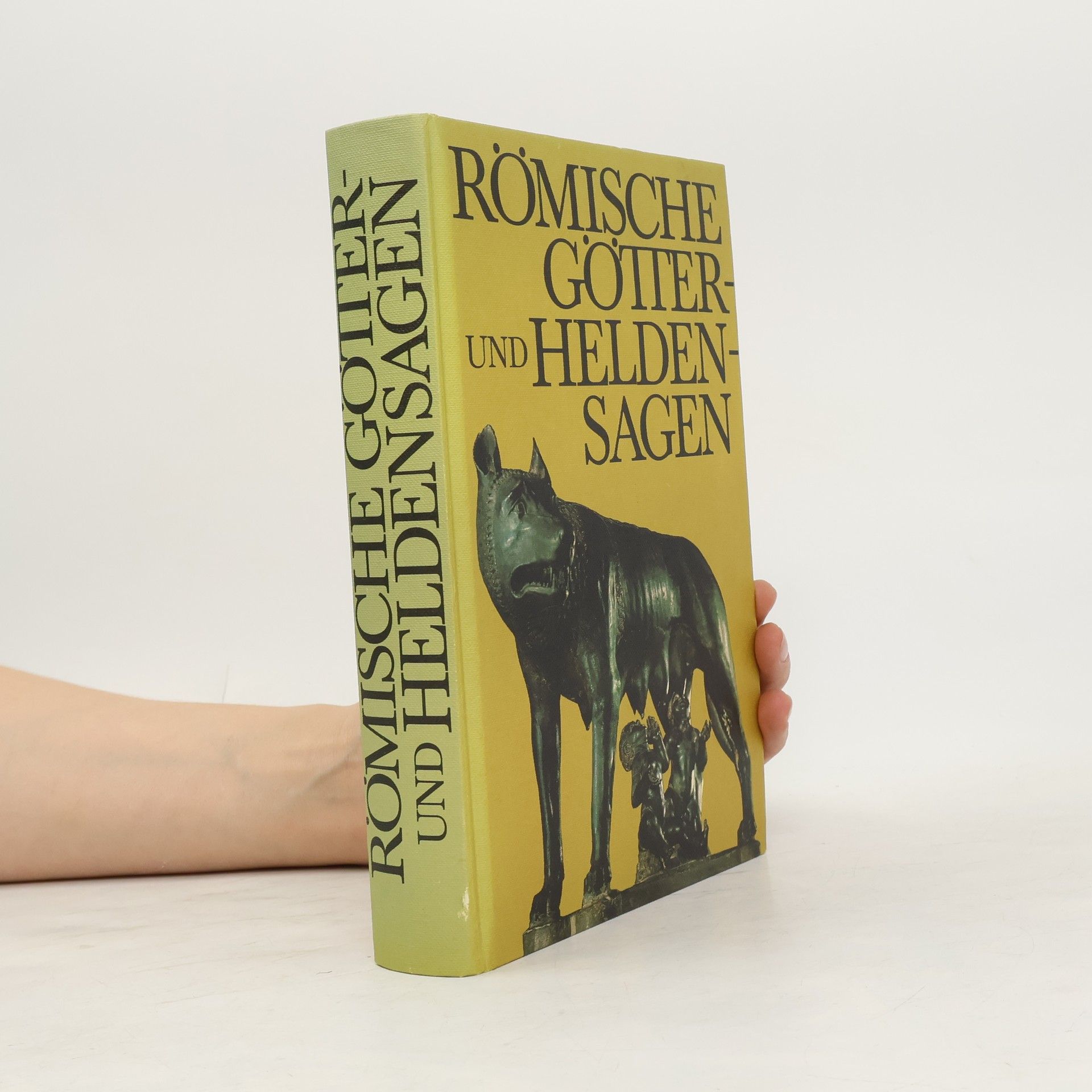 Kolektiv autorů Römische Götter- und Heldensagen