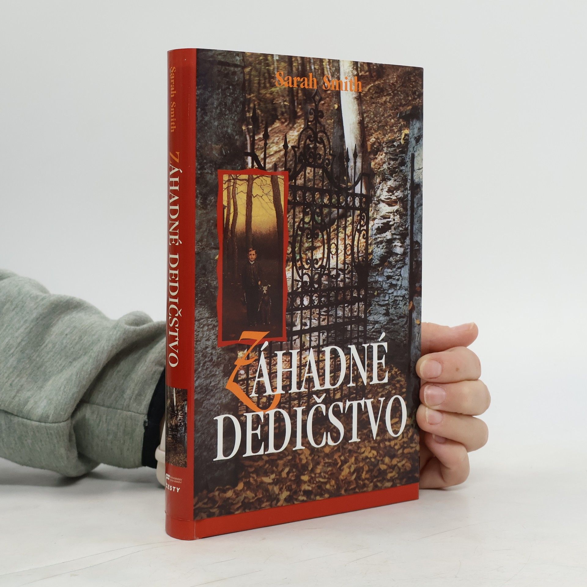 Sarah Smith Záhadné dedičstvo