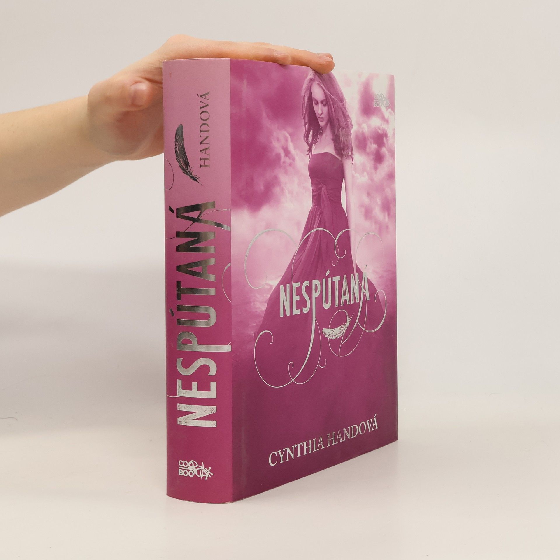 Cynthia Hand Nespútaná