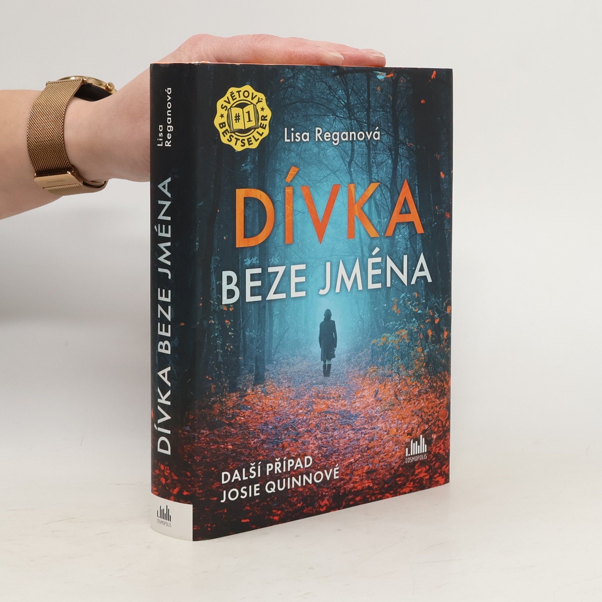 Lisa Regan Dívka beze jména: Další případ Josie Quinnové